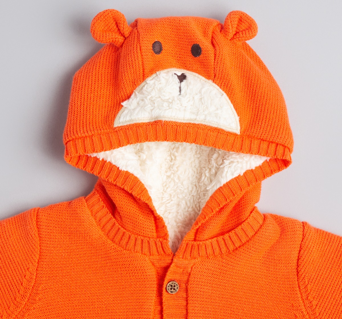 Baby Boys Character Hooded Sweater
