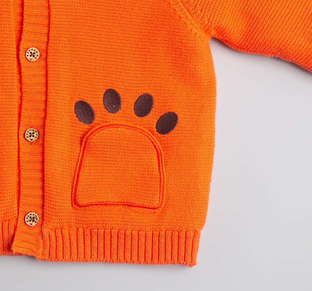 Baby Boys Character Hooded Sweater