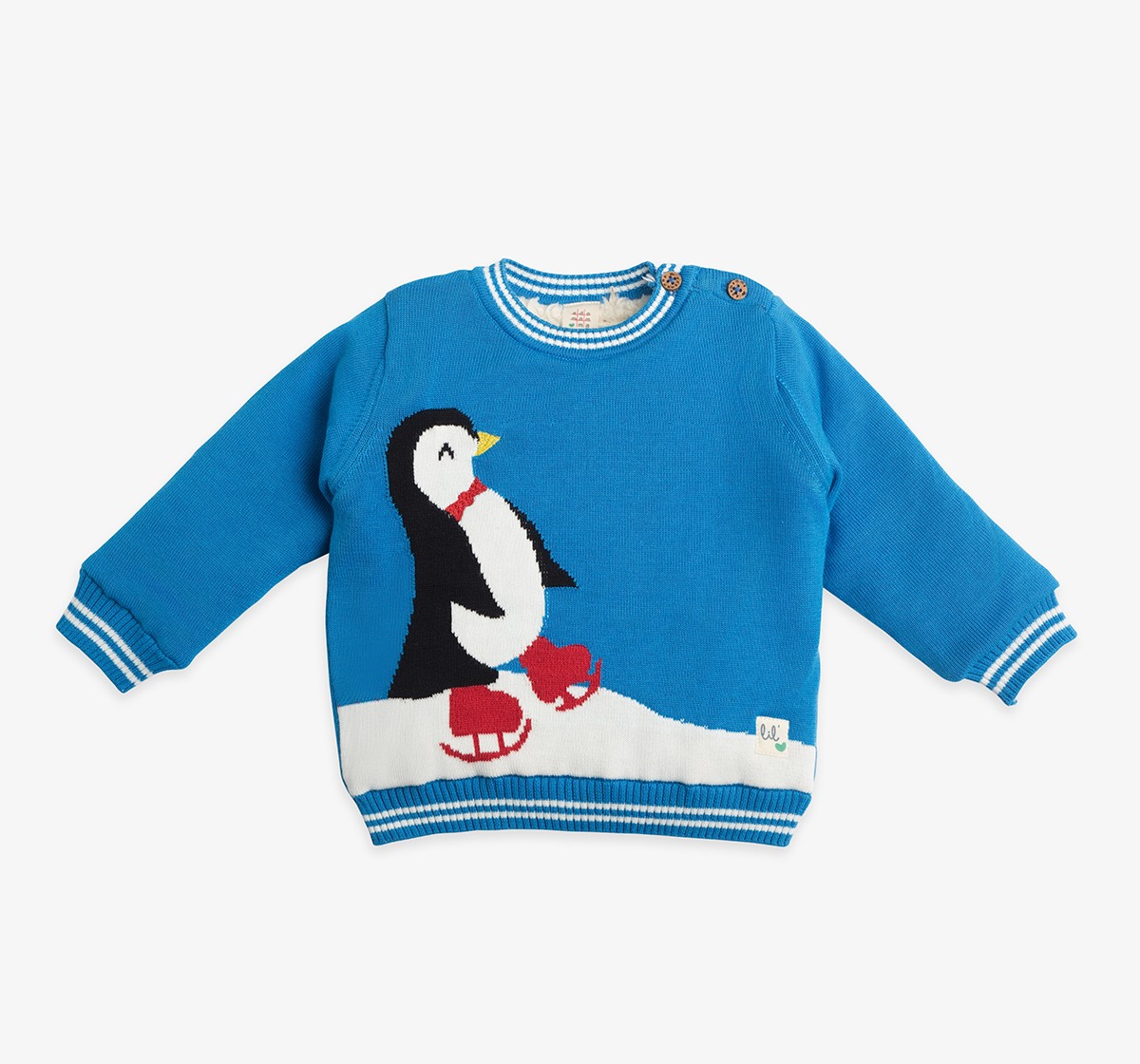 Infant Boys Sweater With Intarsia & Beanie