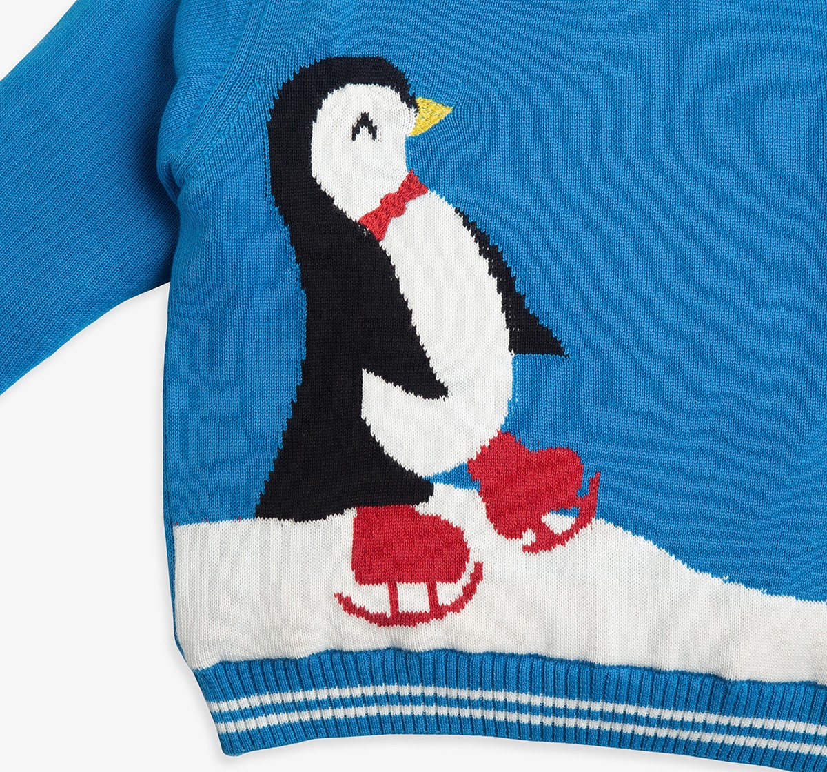 Infant Boys Sweater With Intarsia & Beanie