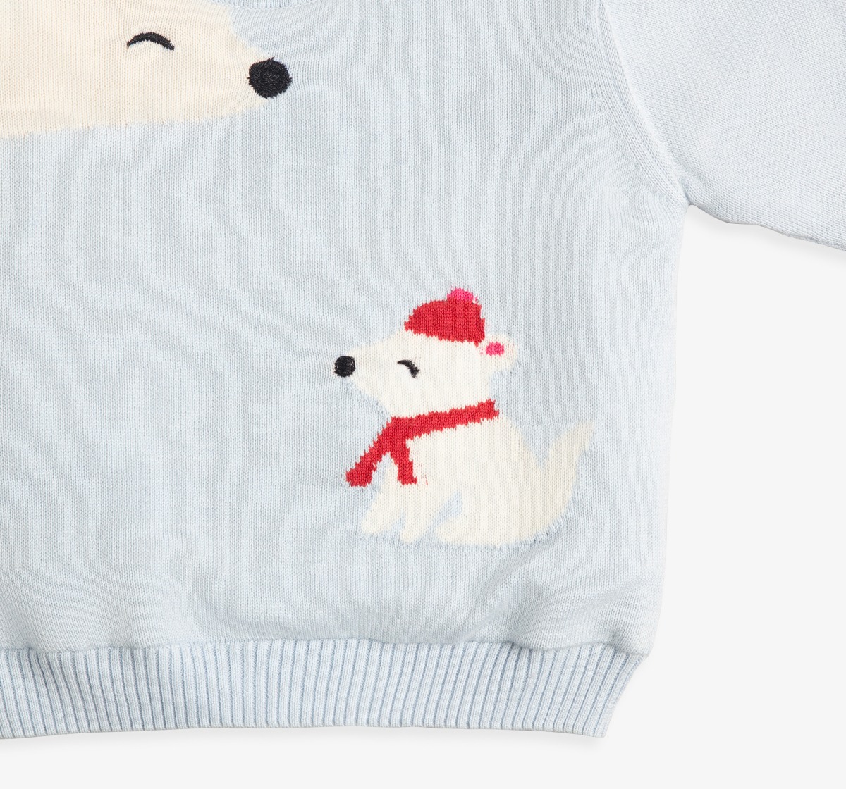 Baby Unisex Sweater With Intarsia & Beanie