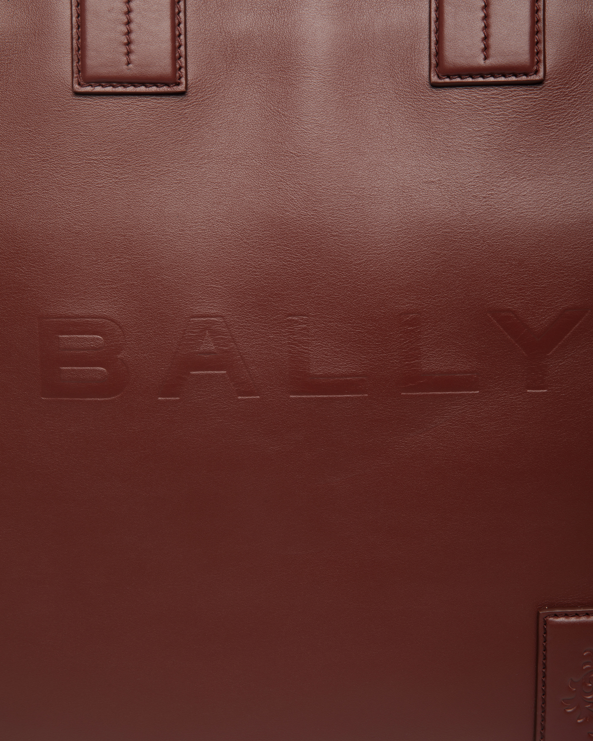 Akelei Tote Bag In Brown Leather