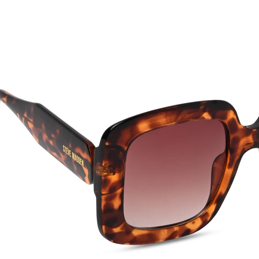 X17466 Standard Tortoise Sunglasses