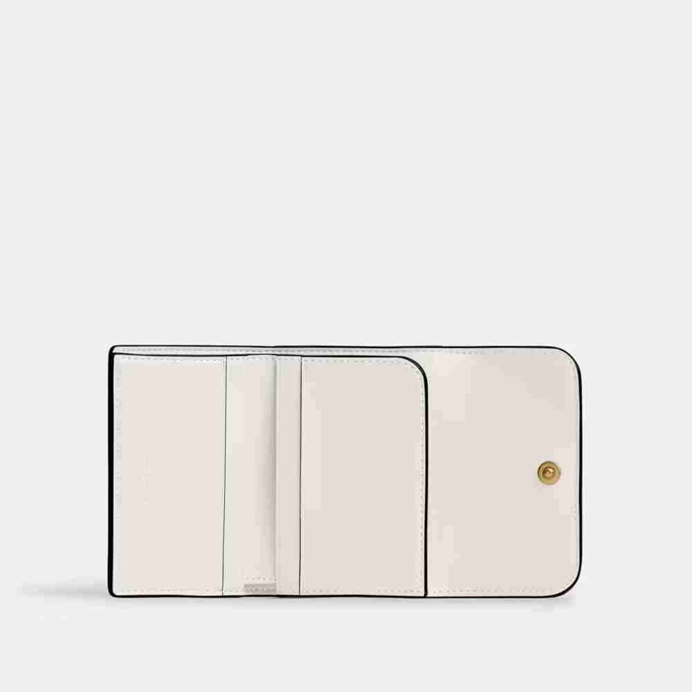 Essential Card Holder Wallet