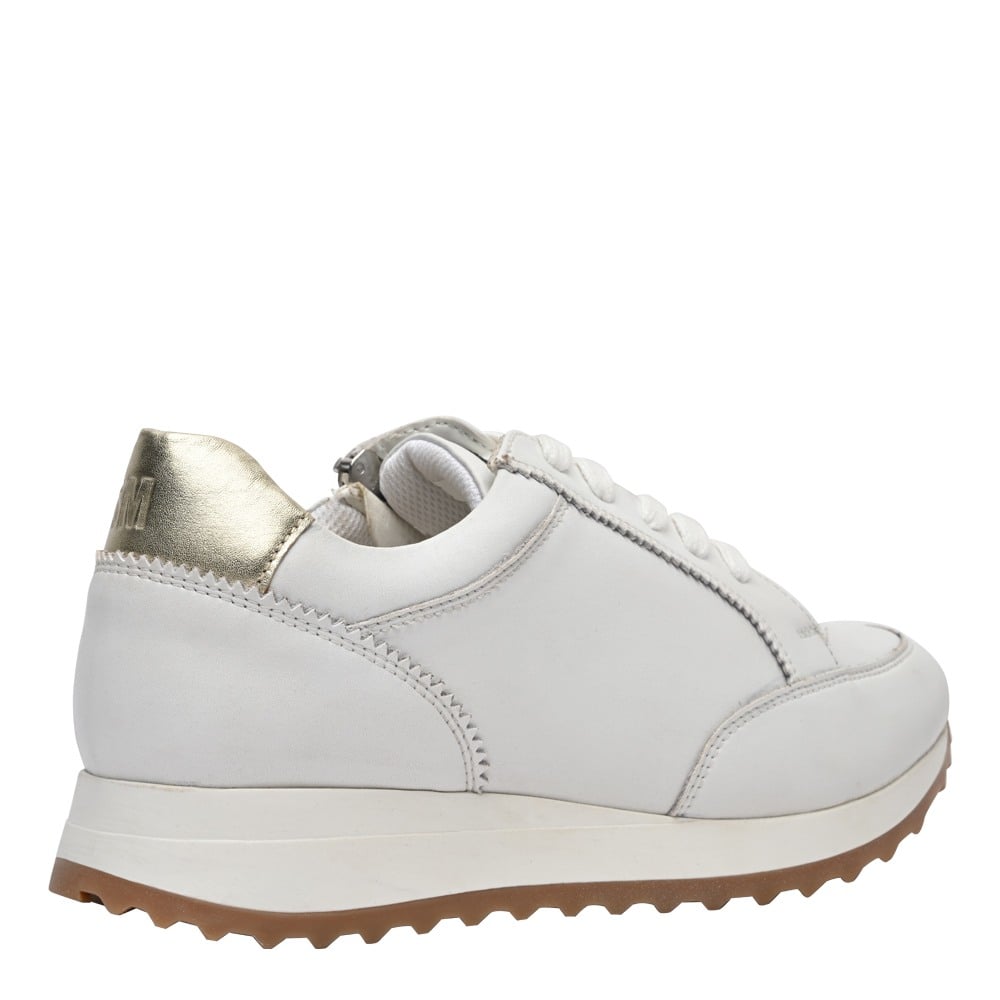SM-1601 White/Gold Sneakers