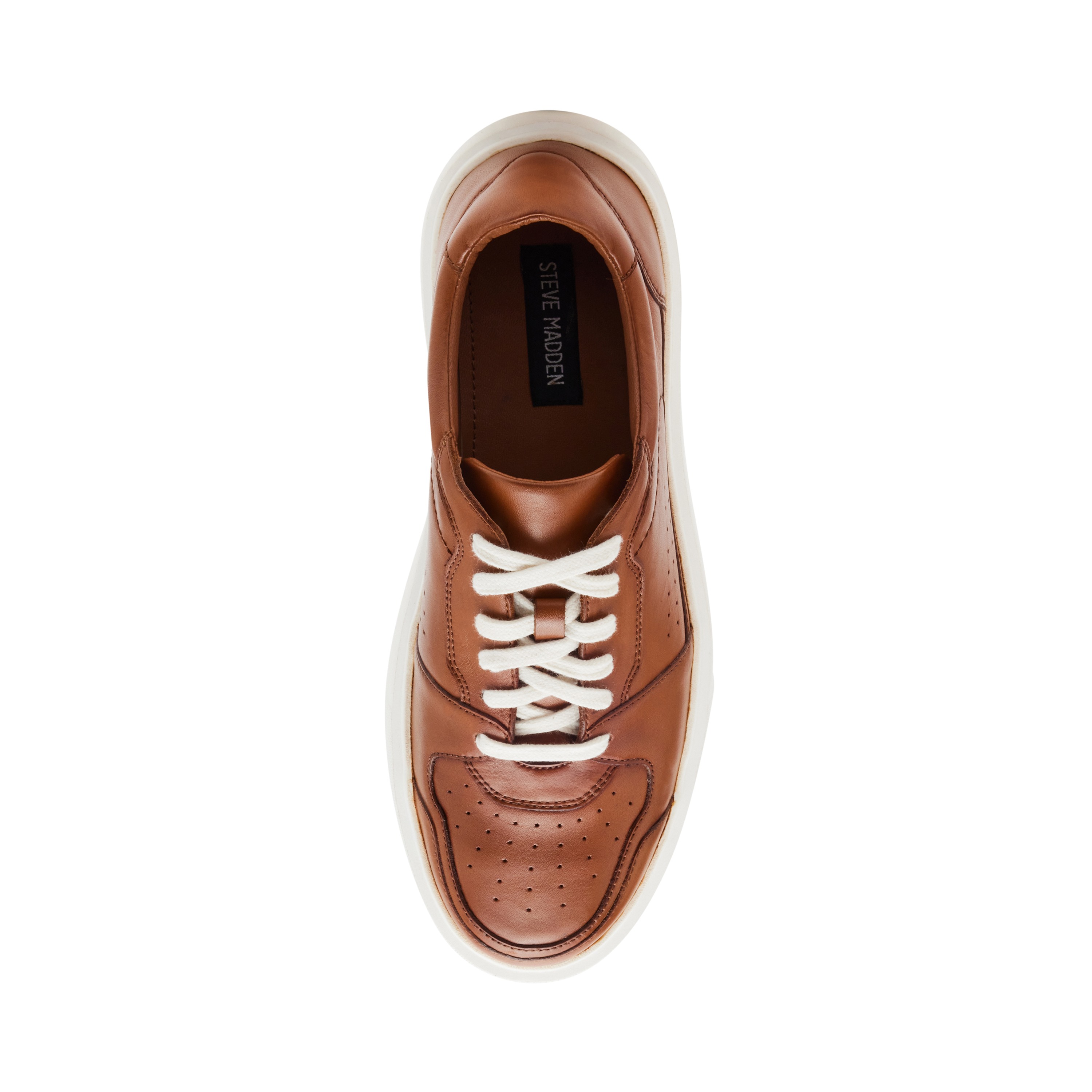 Cinna Tan Sneakers