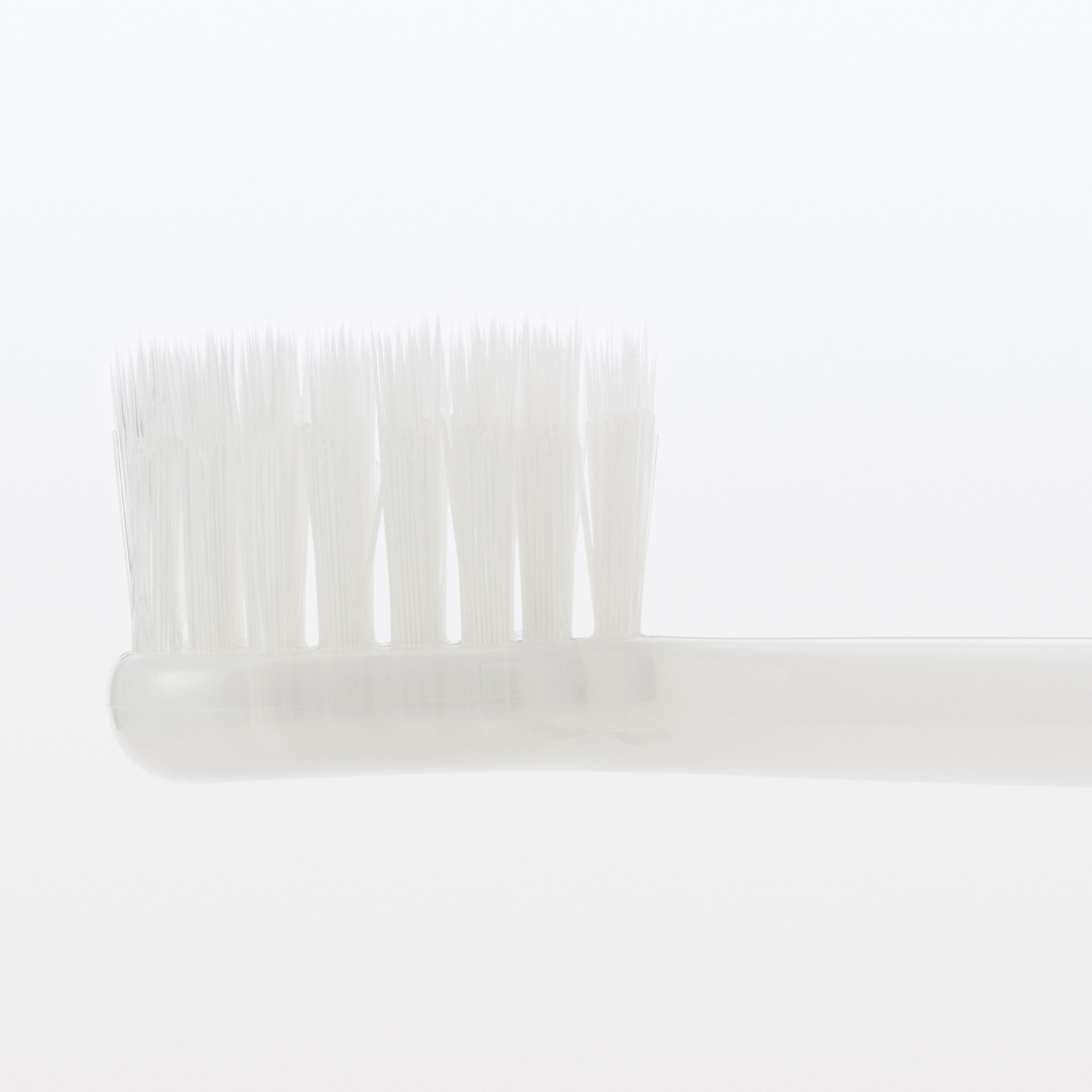 Replaceable head Toothbrush Wide