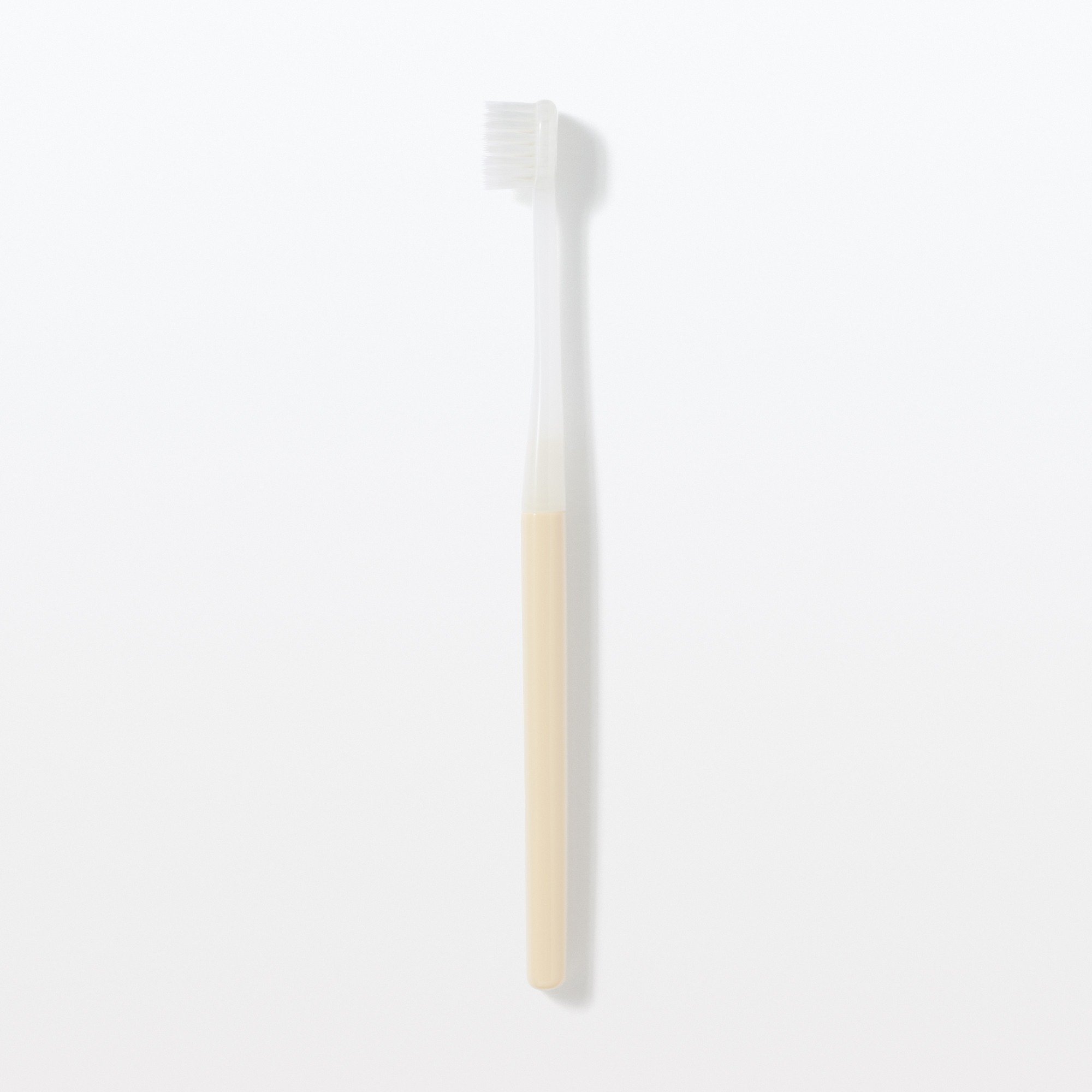Replaceable head Toothbrush Wide