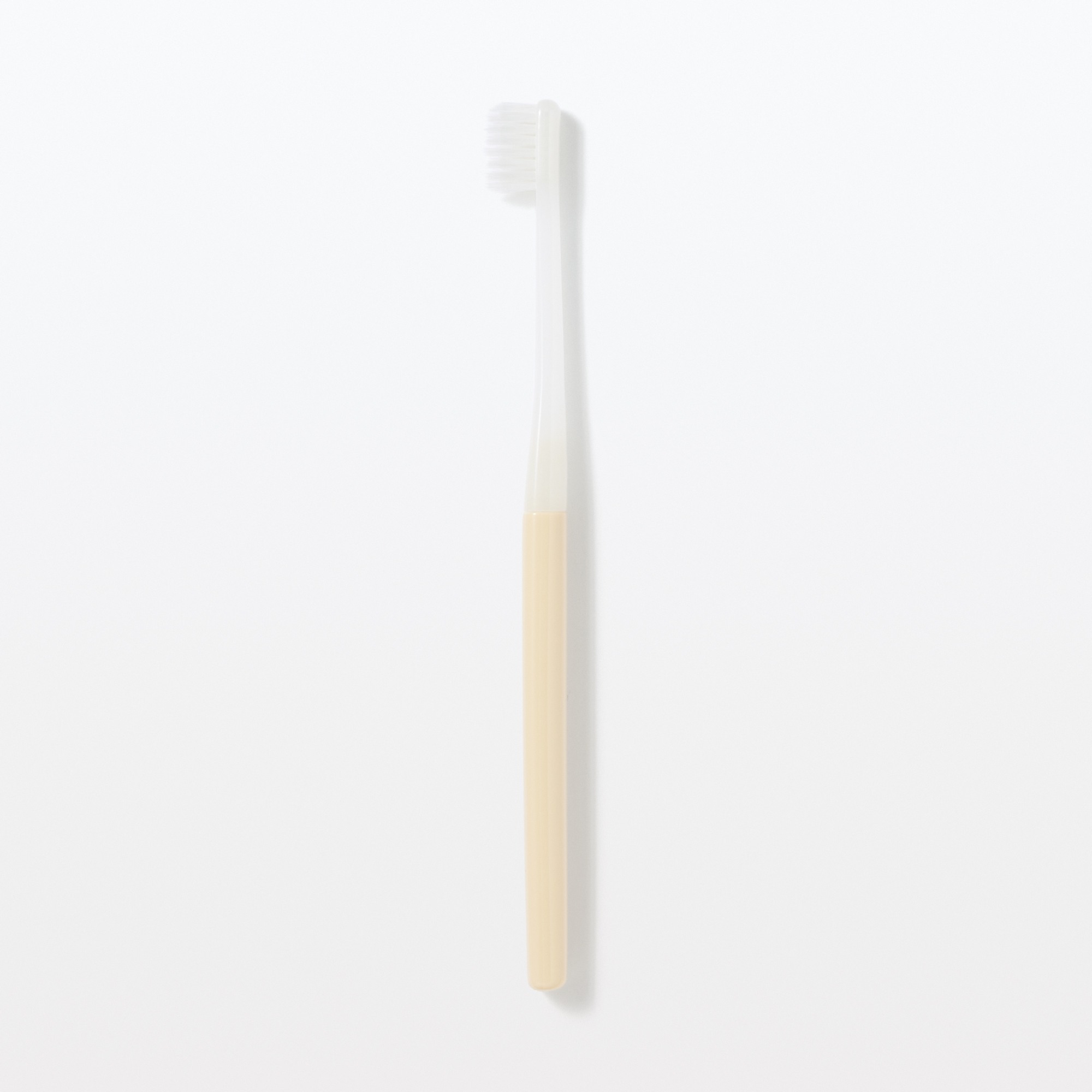 Replaceable head Toothbrush
