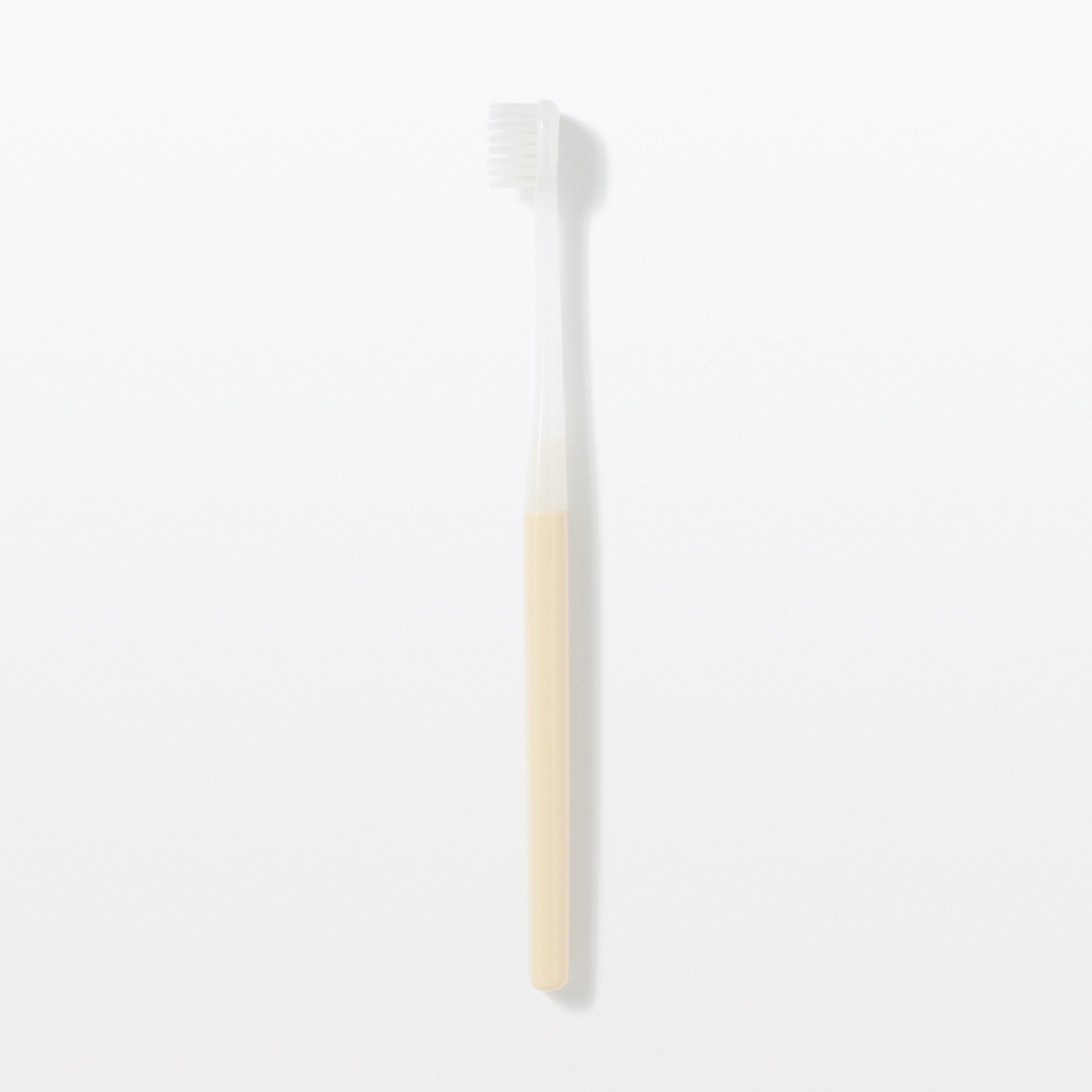 Replaceable head Toothbrush Wide