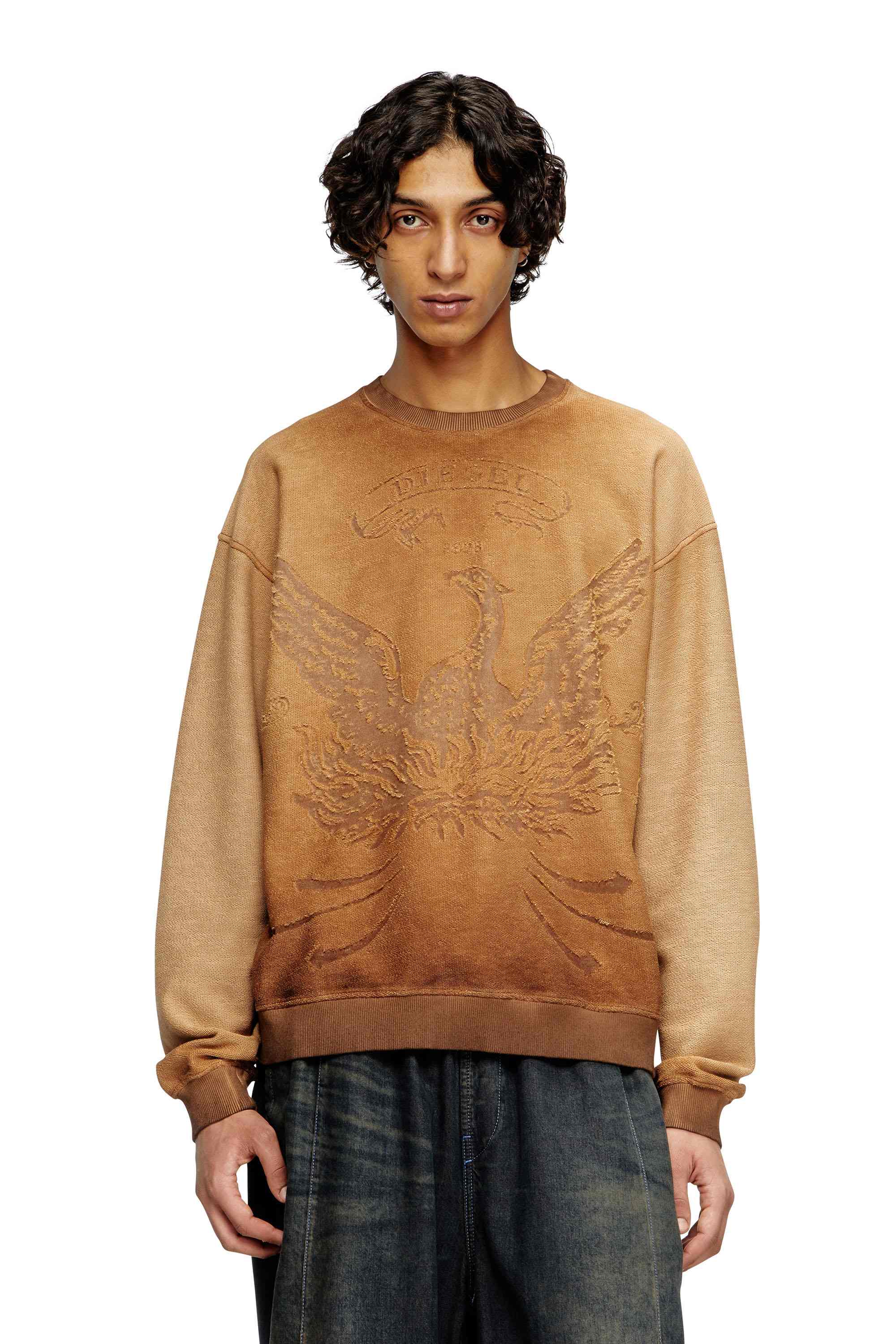 Brown Faded sweatshirt with devoré Phoenix logo