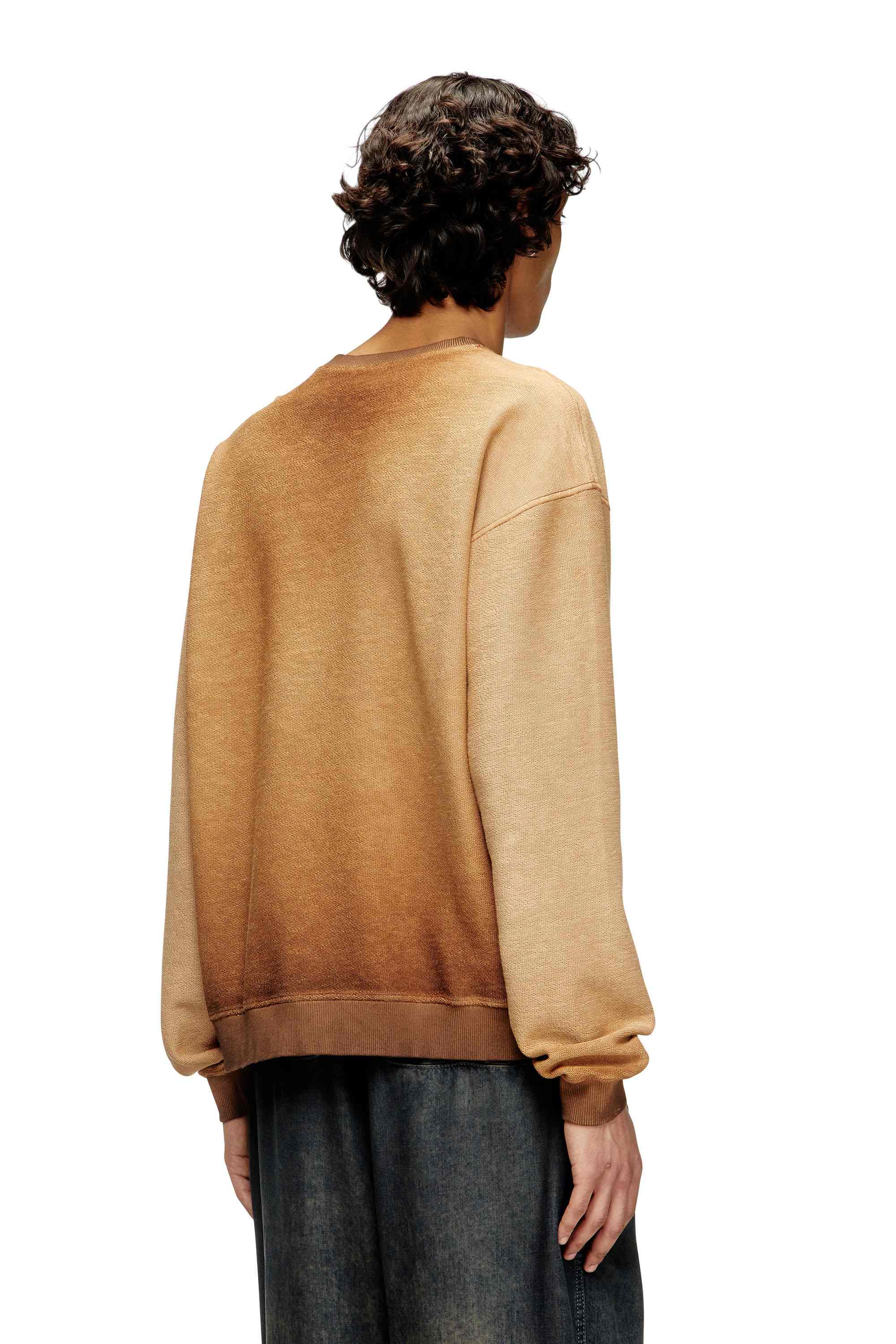 Brown Faded sweatshirt with devoré Phoenix logo