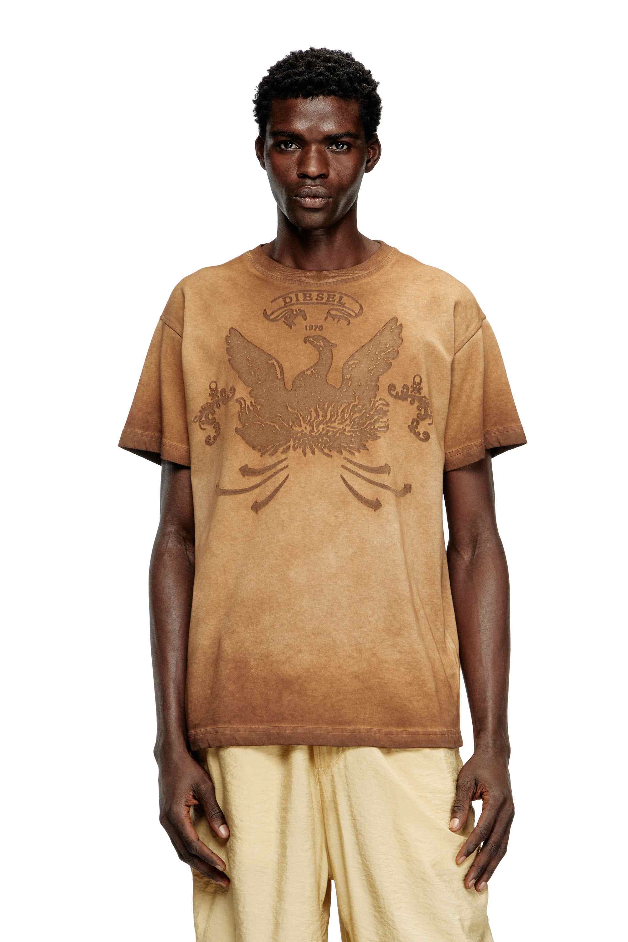 Brown T-shirt with phoenix devoré
