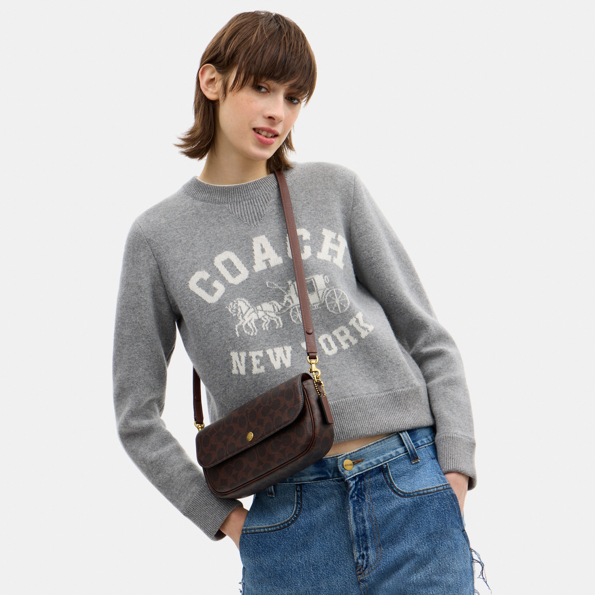 Brook Flap Chain Bag In Signature Canvas