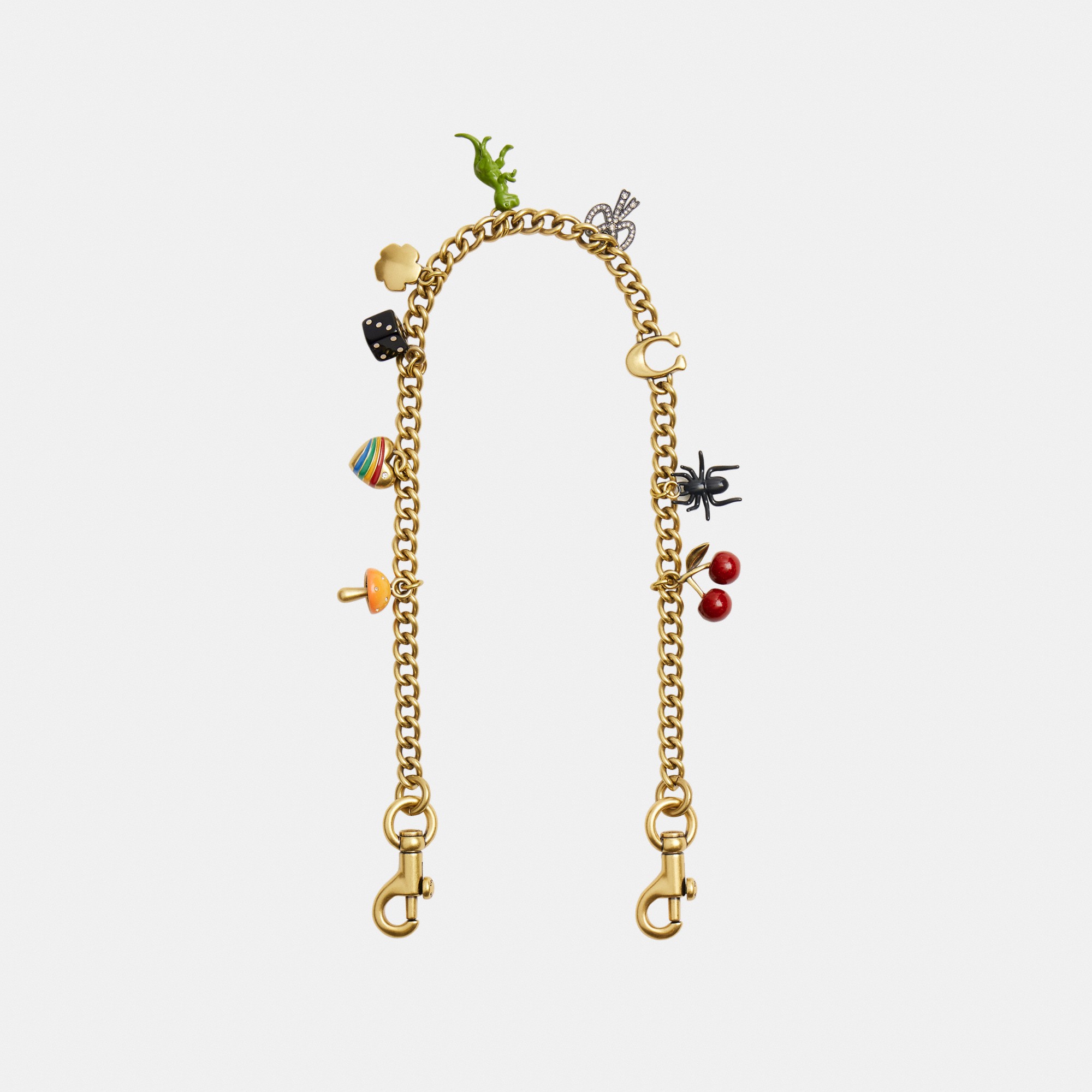 Chain Strap With Charms