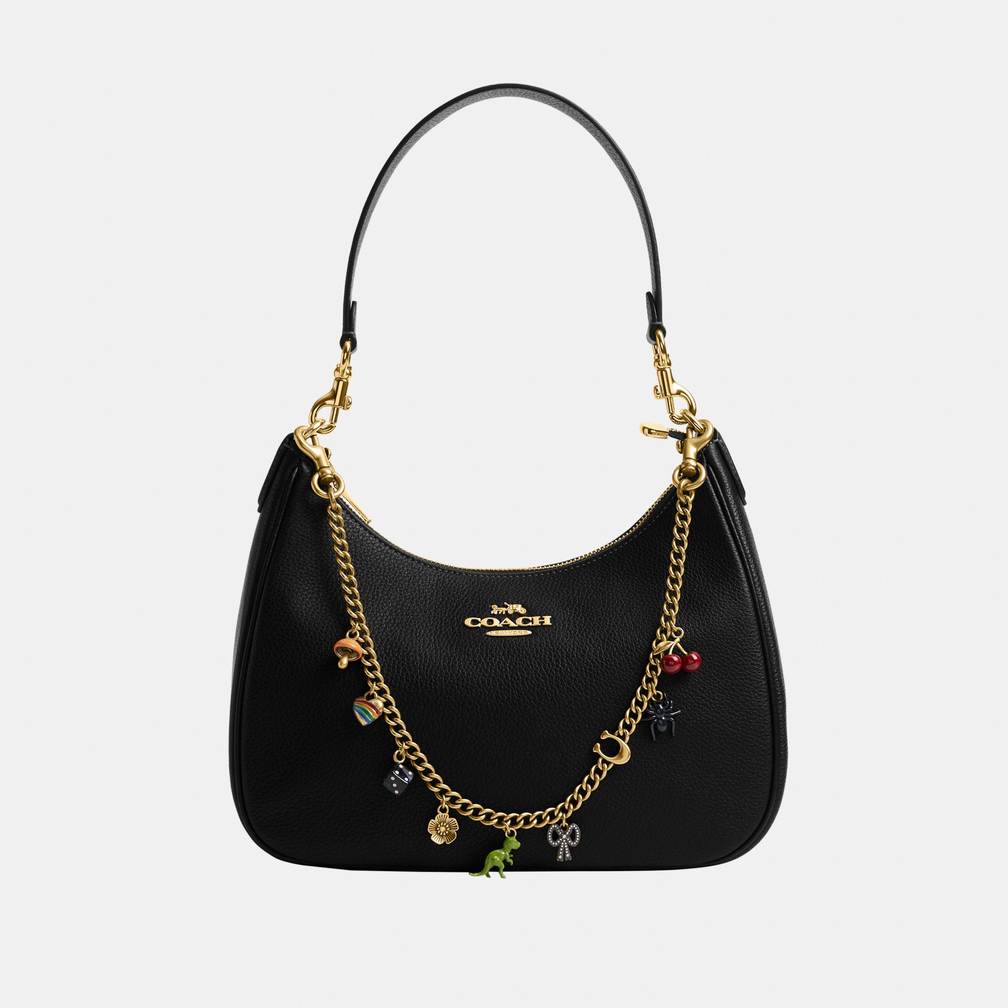 Chain Strap With Charms