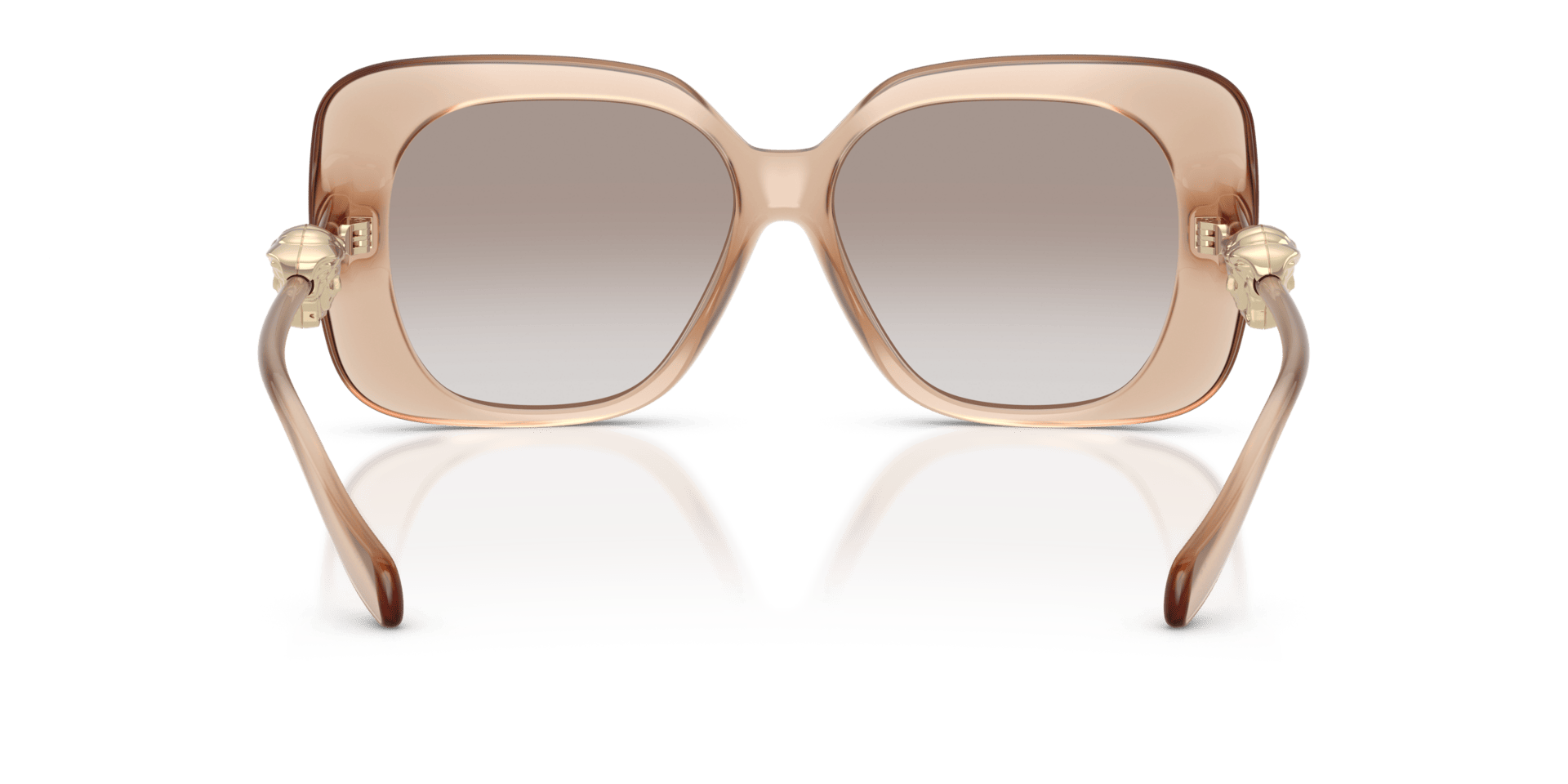 0VE4499U Injected Women Sunglasses