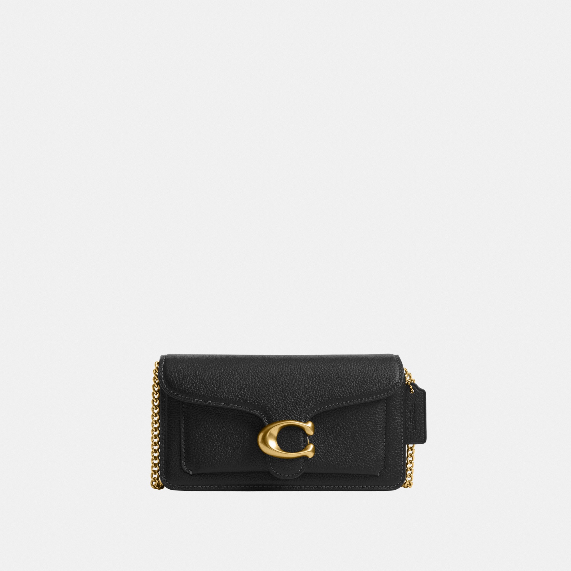 Tabby Chain Crossbody Bag 19