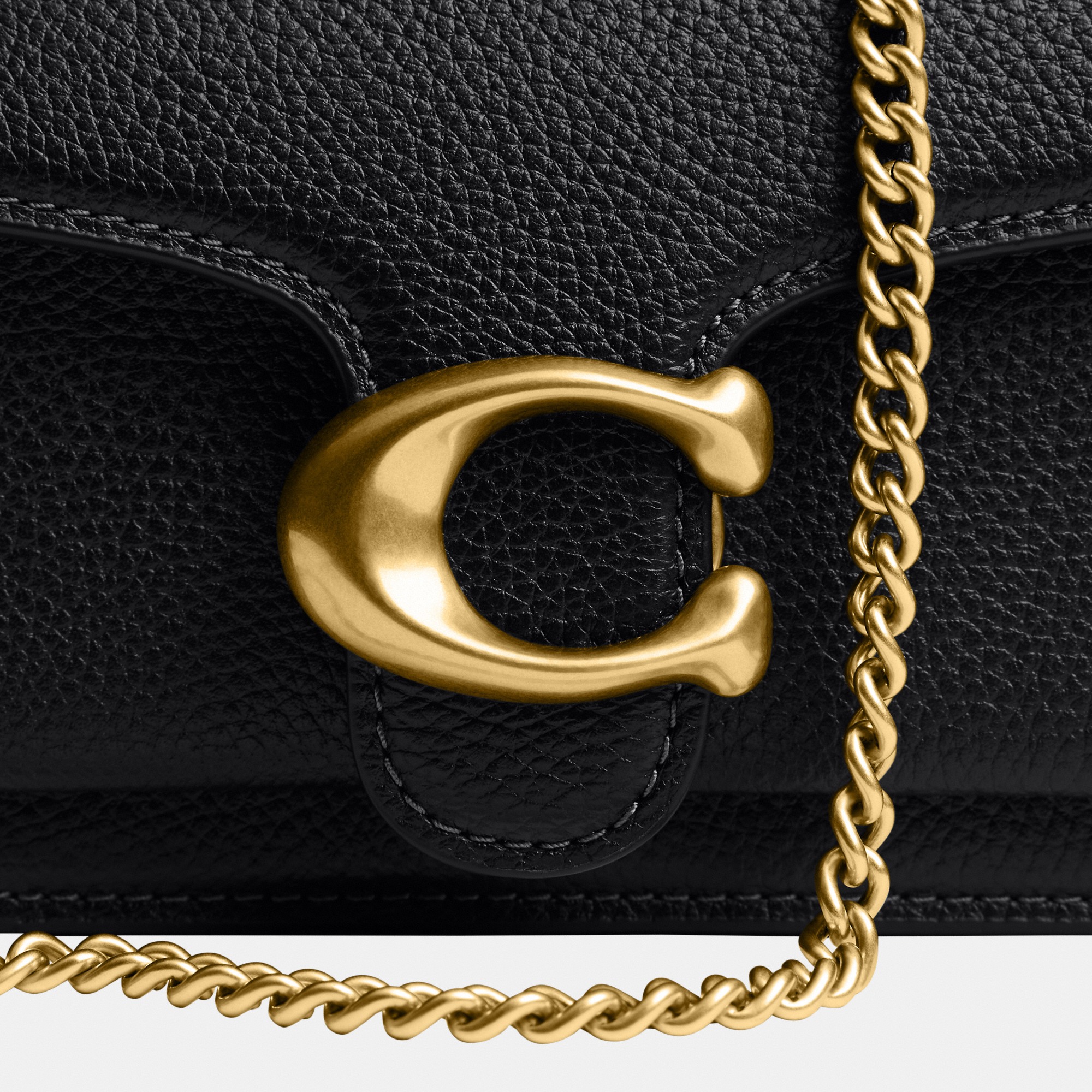 Tabby Chain Crossbody Bag 19