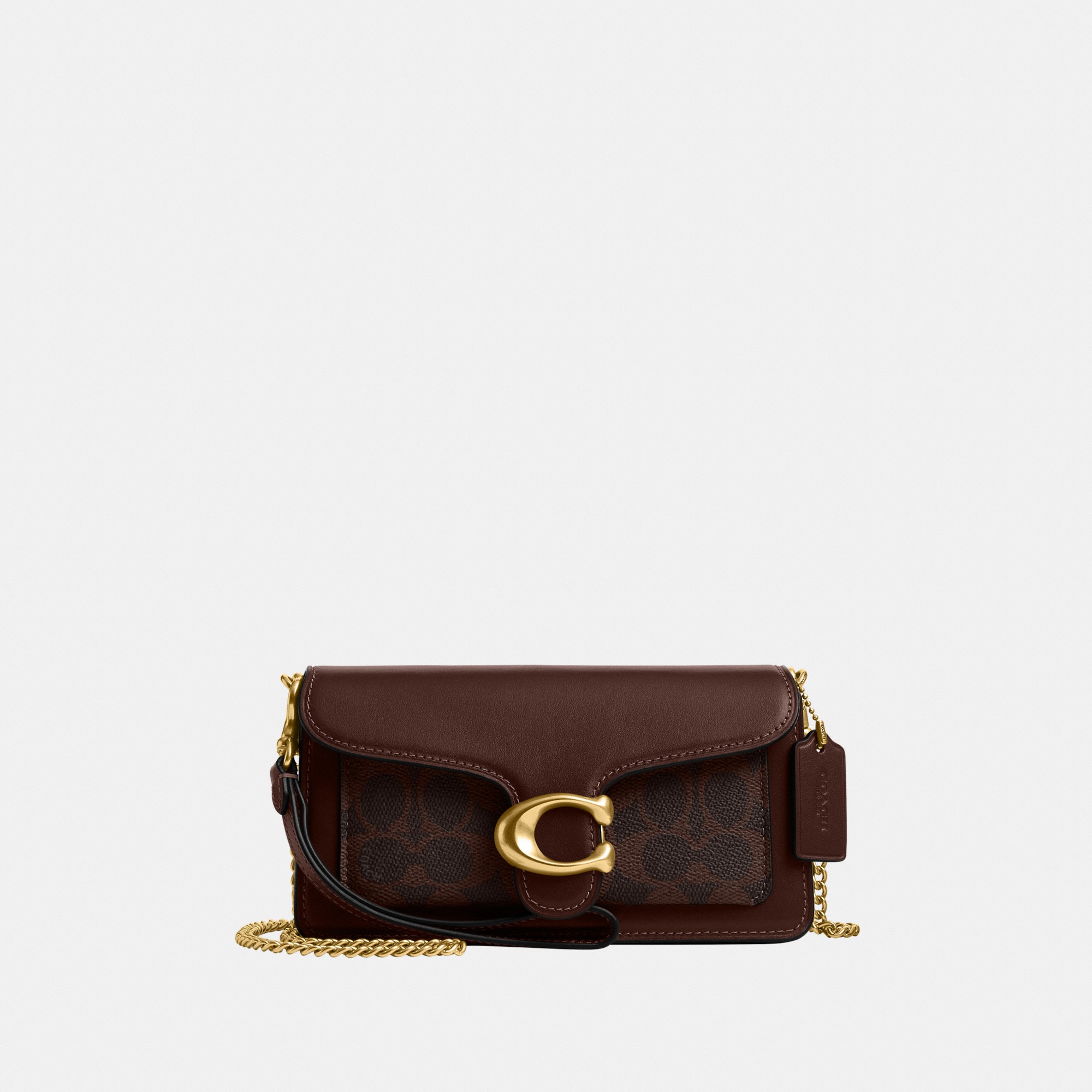 Tabby Chain Crossbody Bag 19 In Signature Canvas