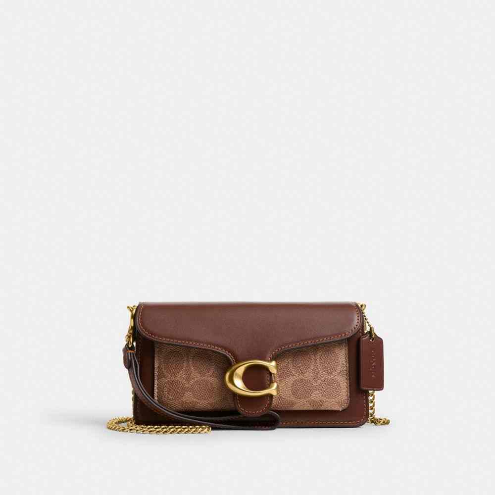 tabby  Tabby Chain Crossbody Bag 19 In Signature Canvas