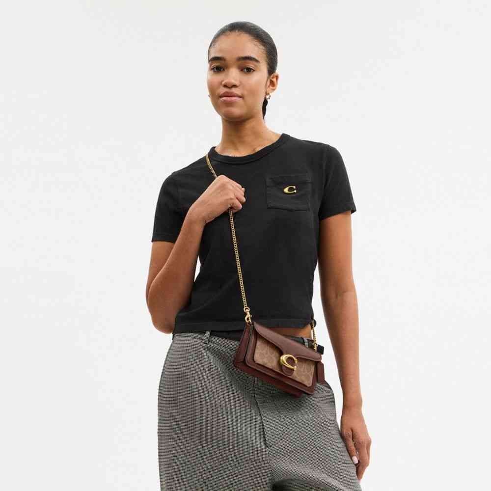 Tabby Chain Crossbody Bag 19 In Signature Canvas