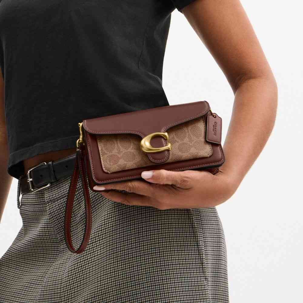 Tabby Chain Crossbody Bag 19 In Signature Canvas