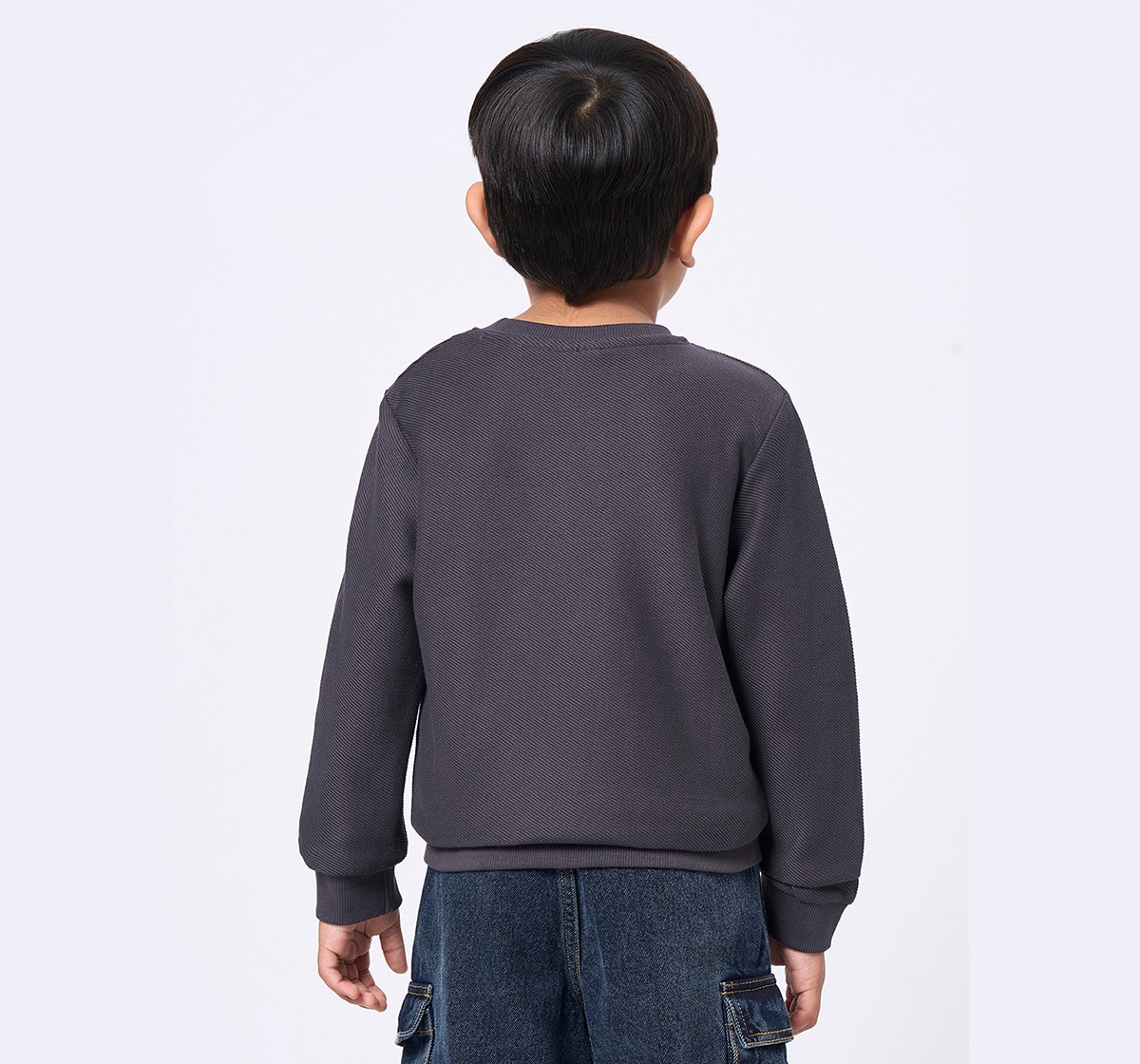 Ed-a-Mamma Kids Boys Sweatshirt Grey