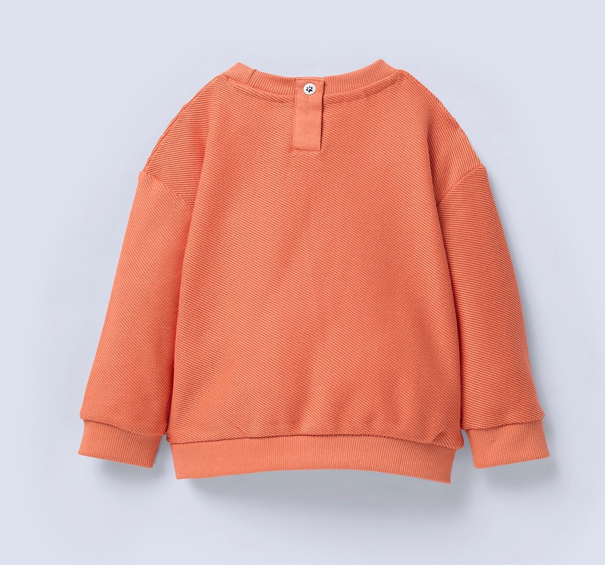 Ed-a-Mamma Infant Boys Set Coral