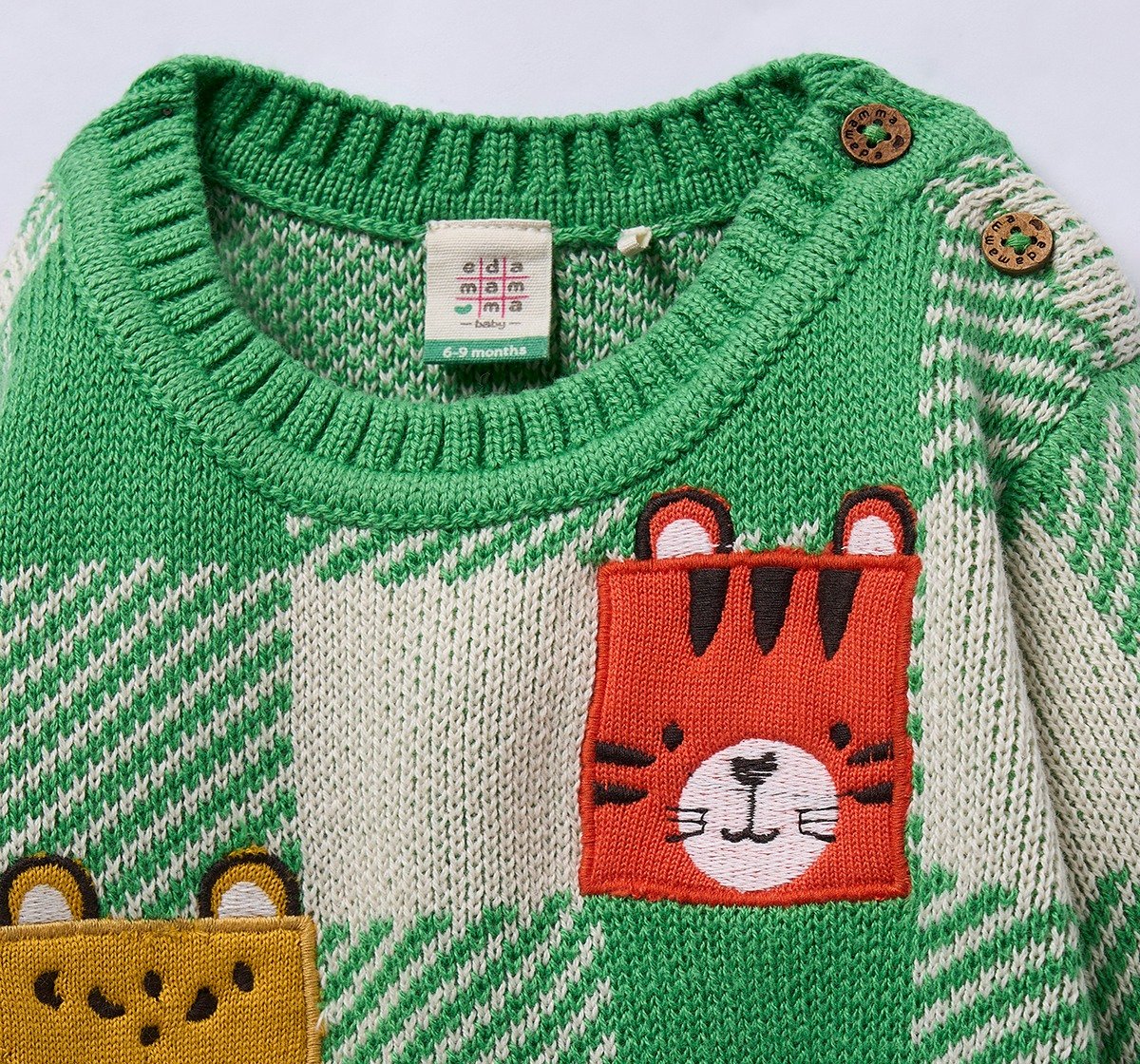 Ed-a-Mamma Infant Boys Sweater Green