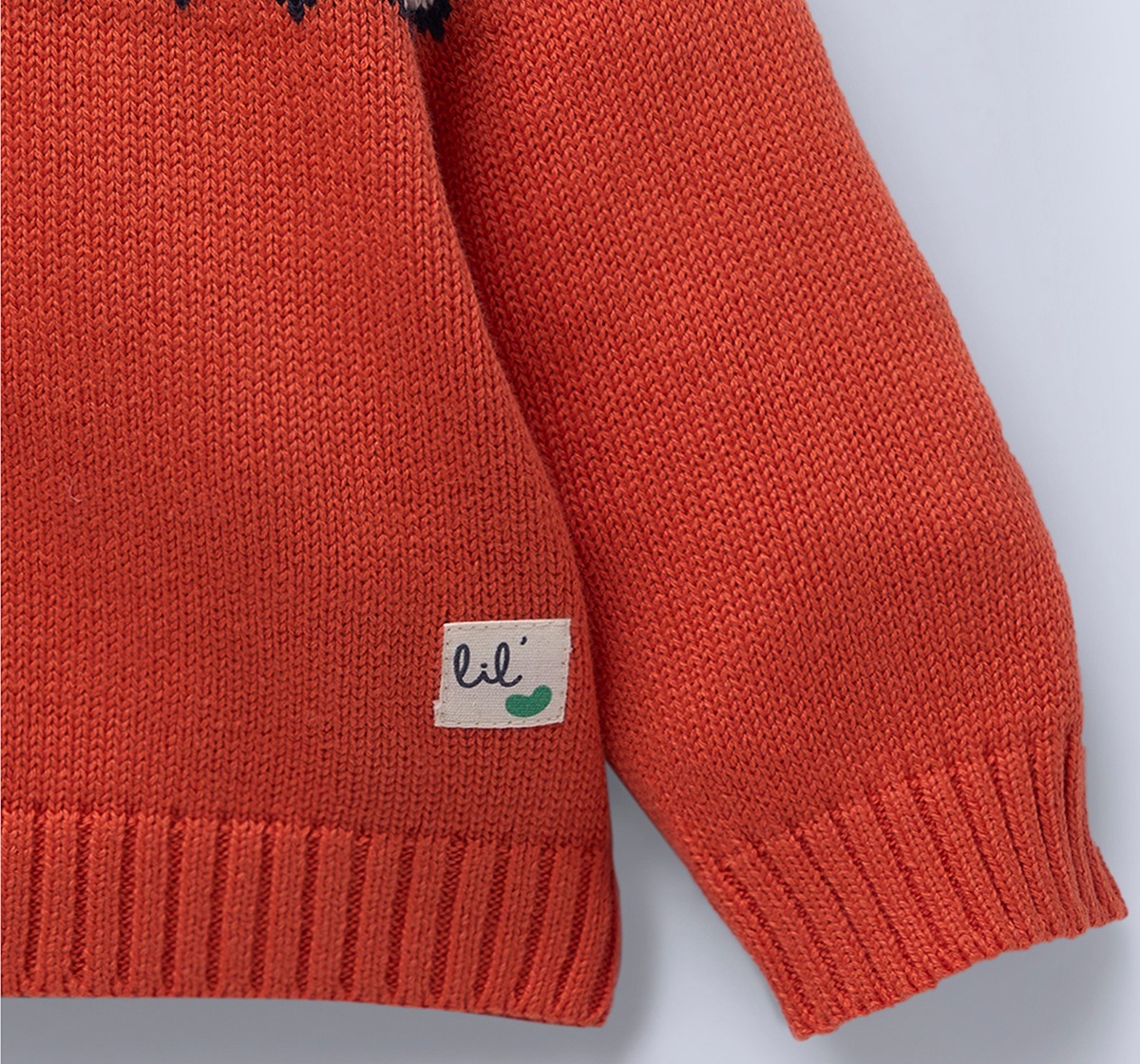 Ed-a-Mamma Infant Boys Sweater Orange