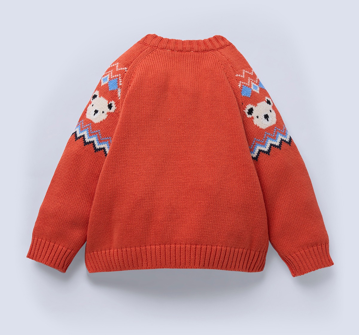 Ed-a-Mamma Infant Boys Sweater Orange