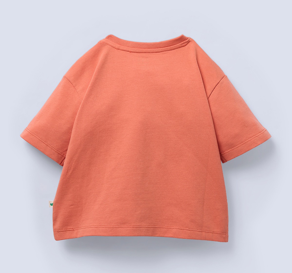Ed-a-Mamma Infant Boys T-Shirt Orange