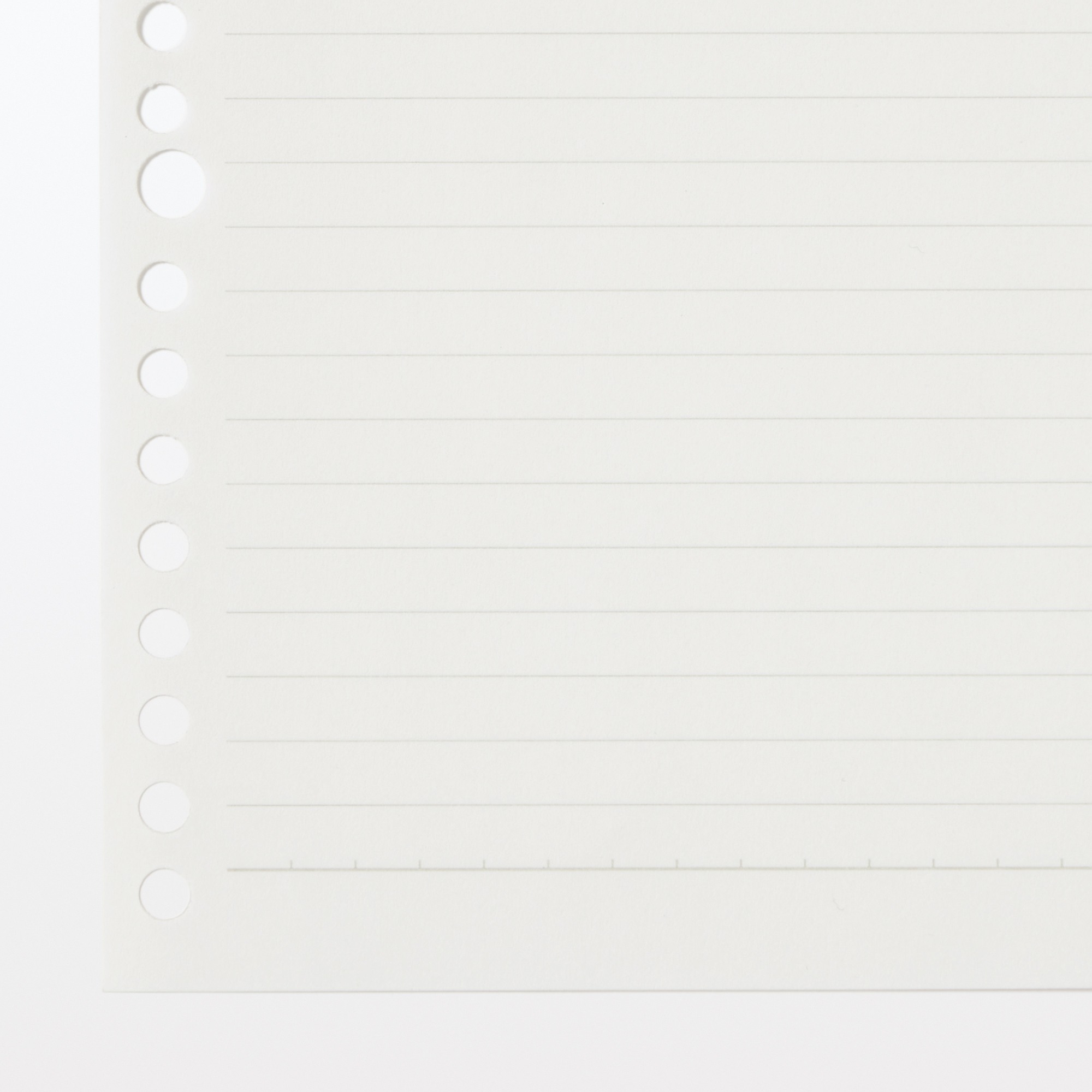 Planted tree paper Loose-leaf