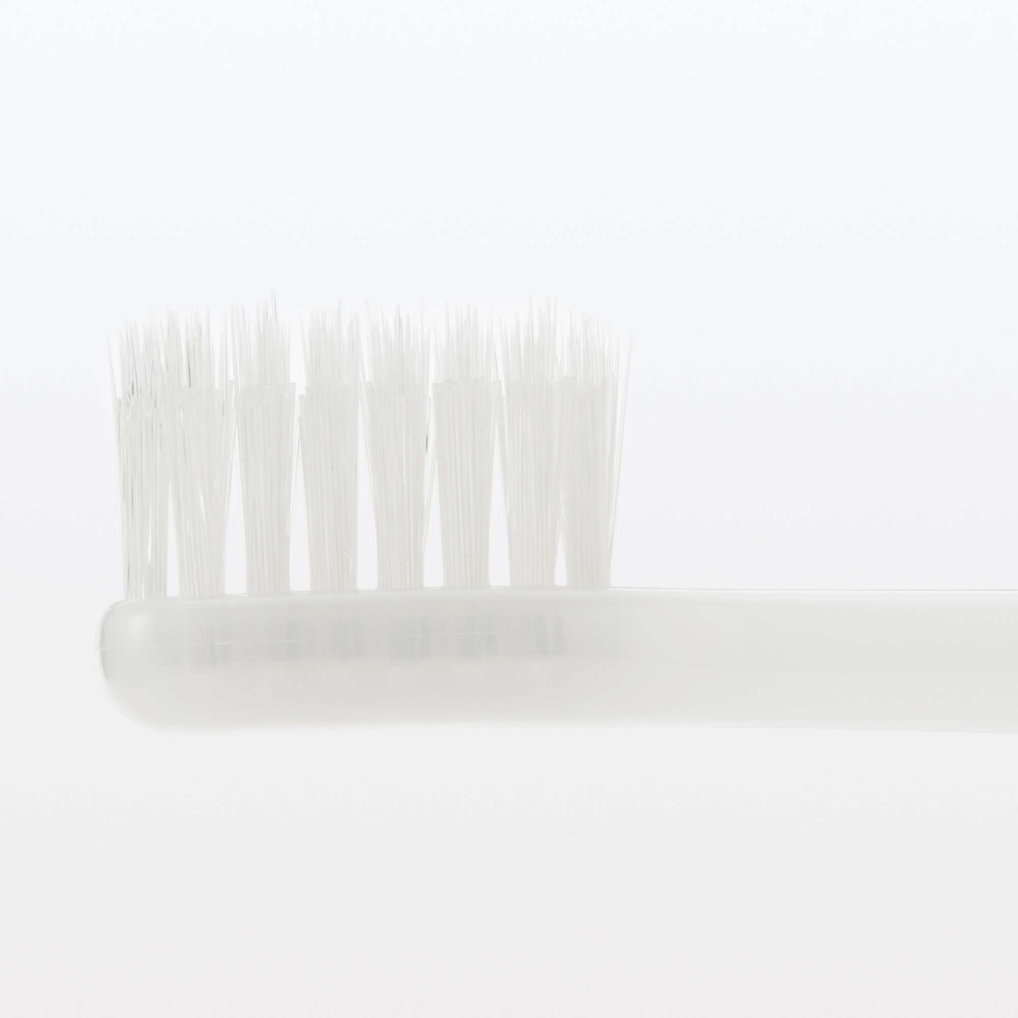 Replaceable head Toothbrush