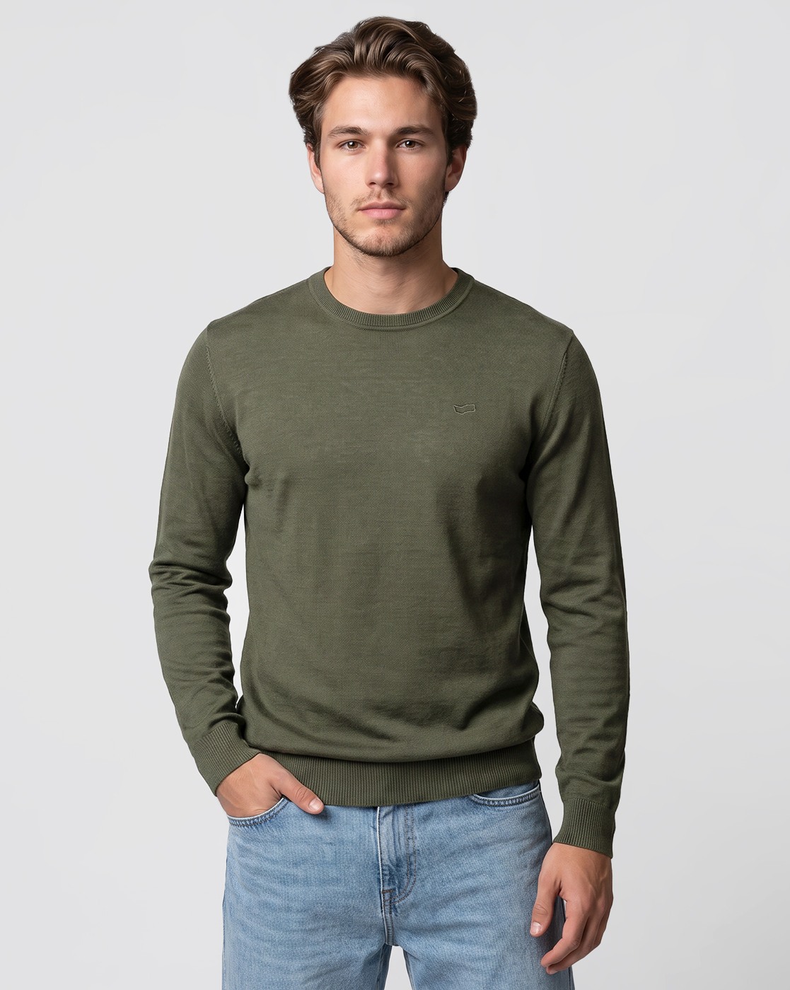 Men's Green Regular Fit Knit Sweater