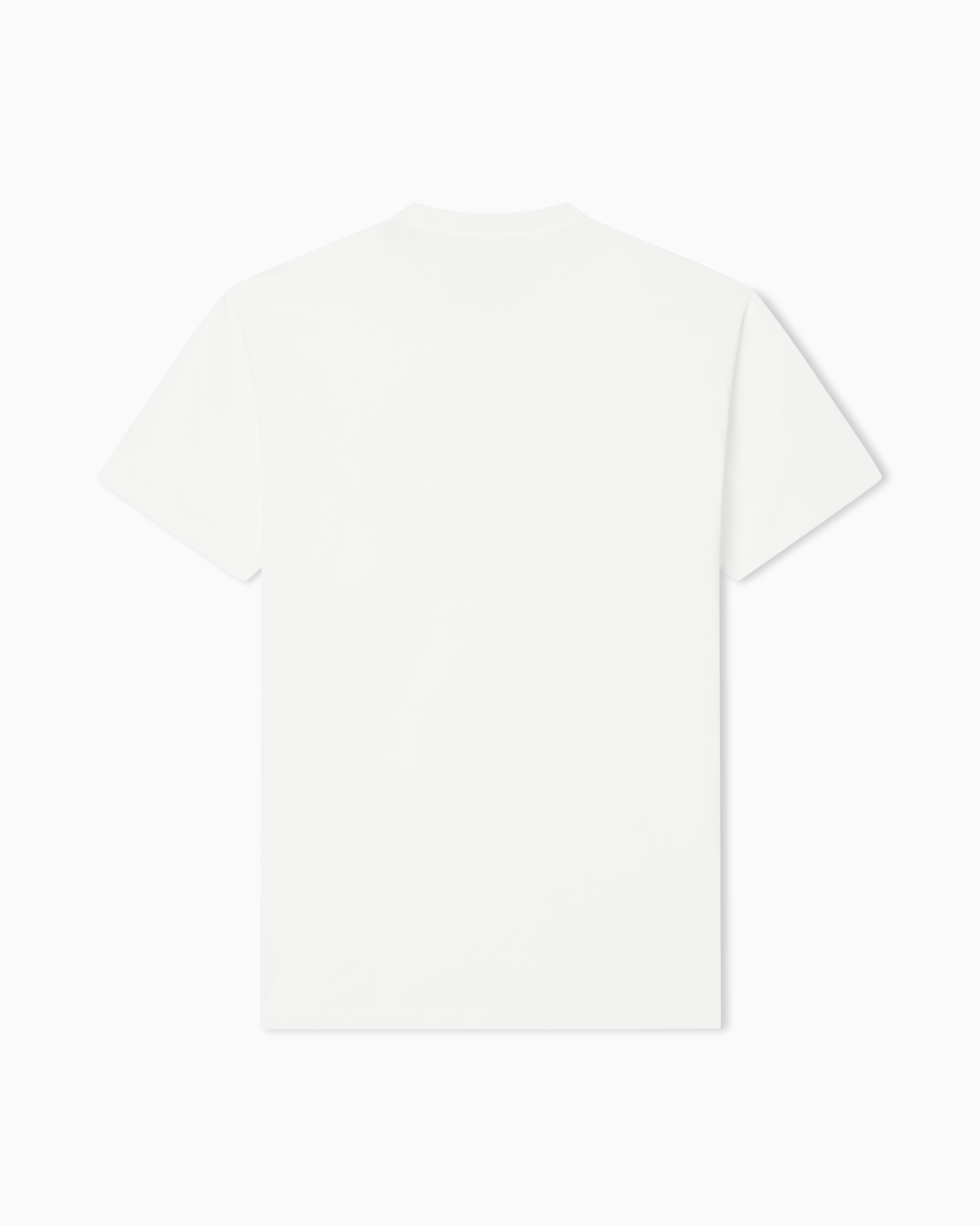 Armanish Regular Fit T-SHIRT