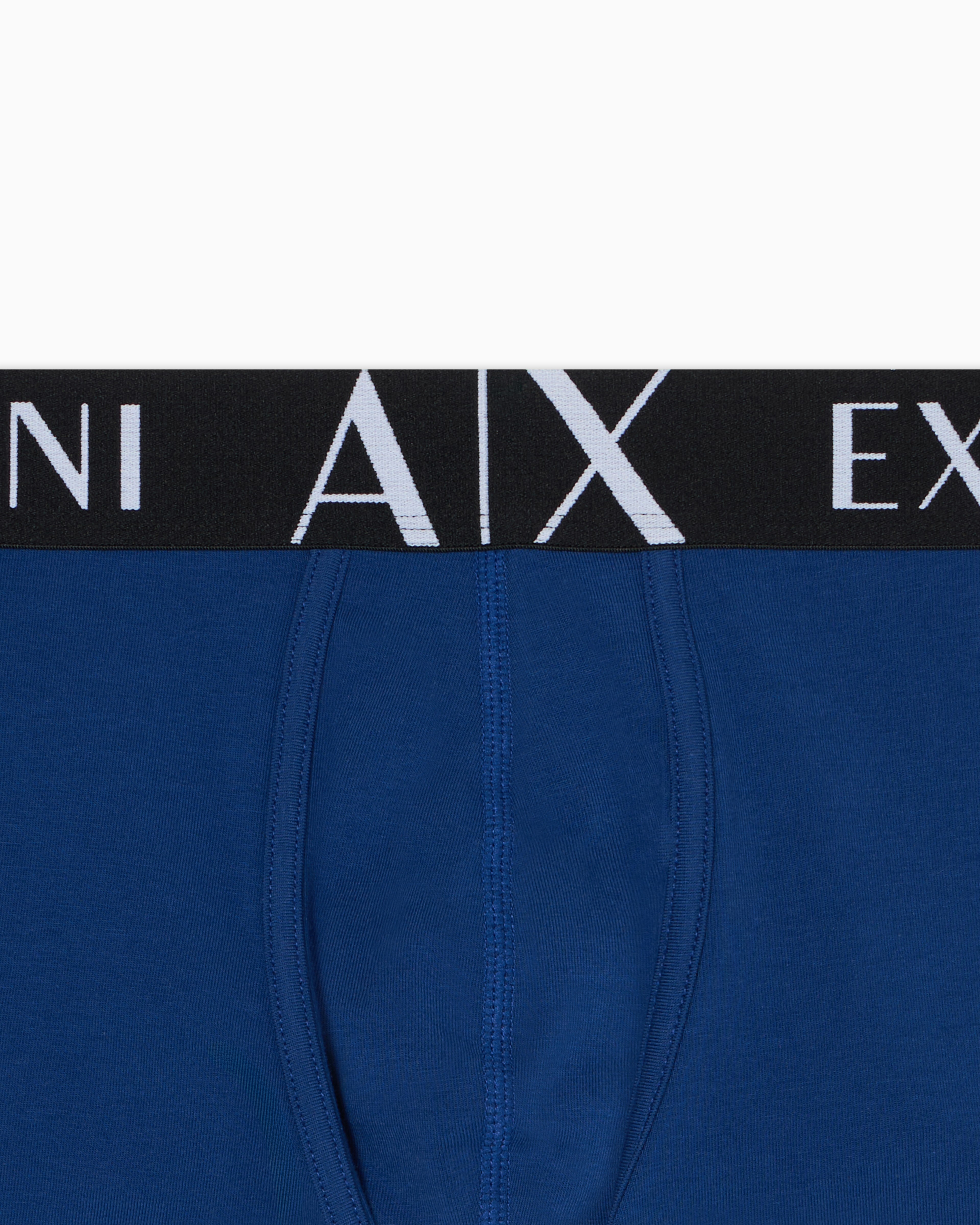 Basics Innerwear Trunks