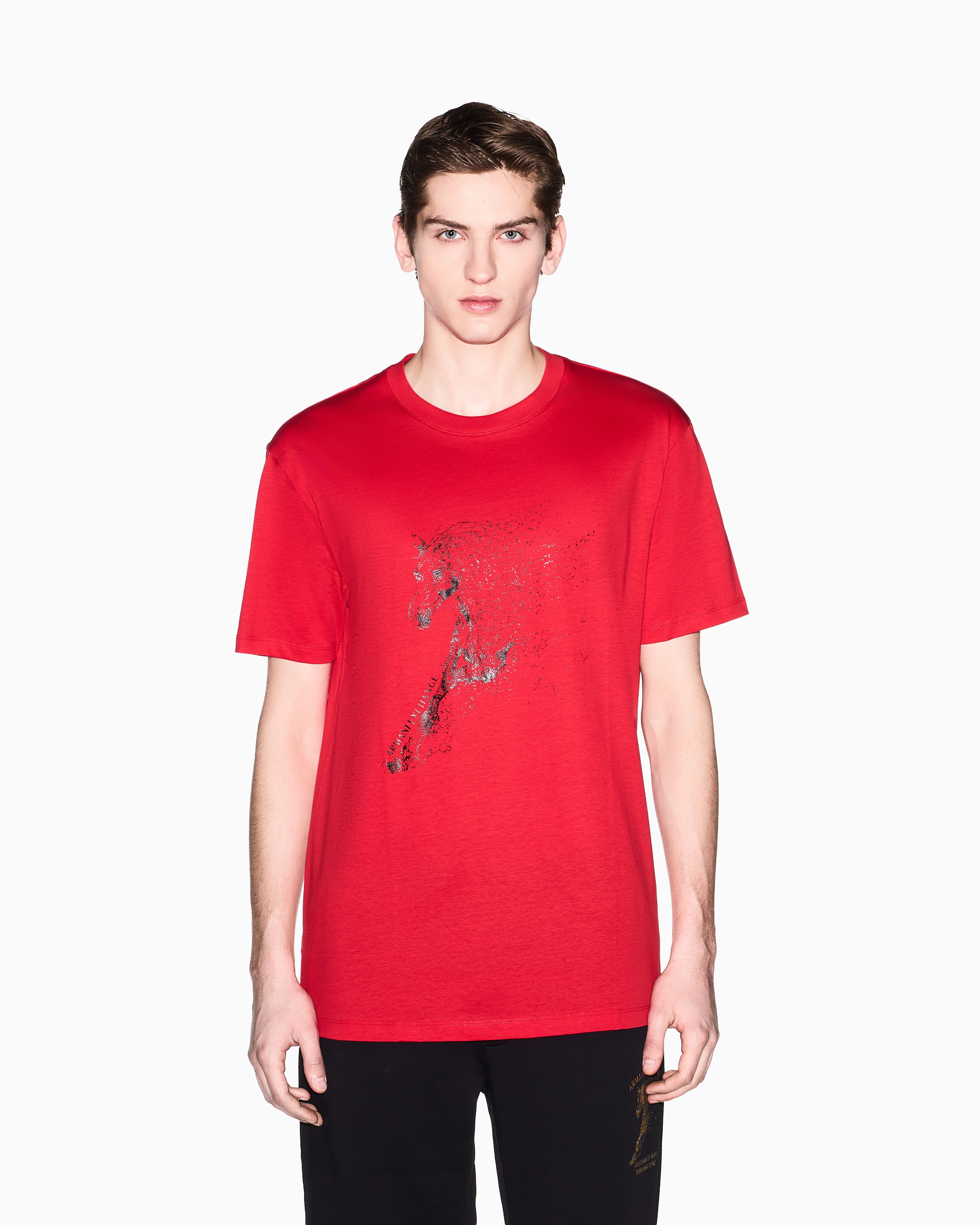 Lunar New Year Regular Fit T-SHIRT