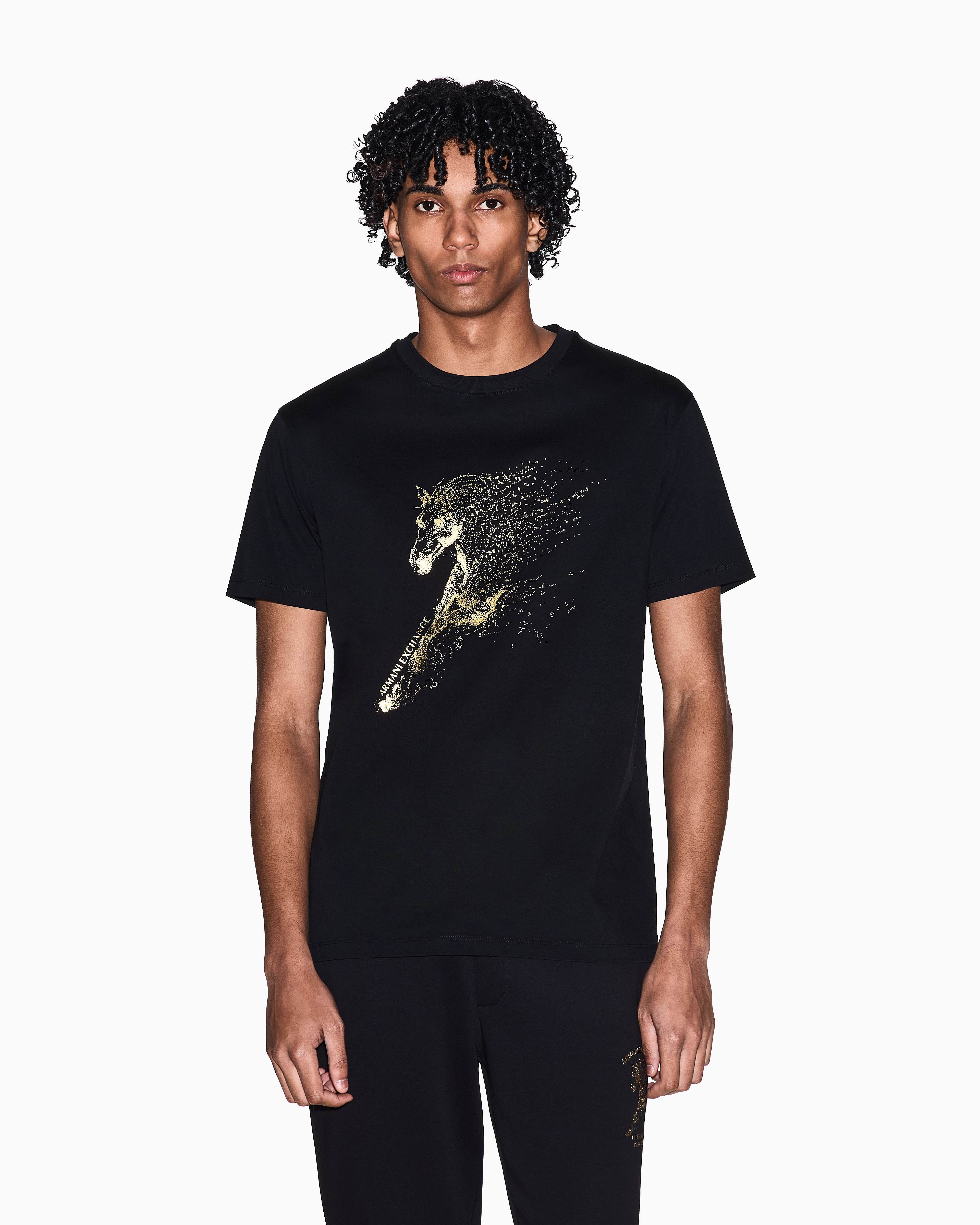 Lunar New Year Regular Fit T-SHIRT