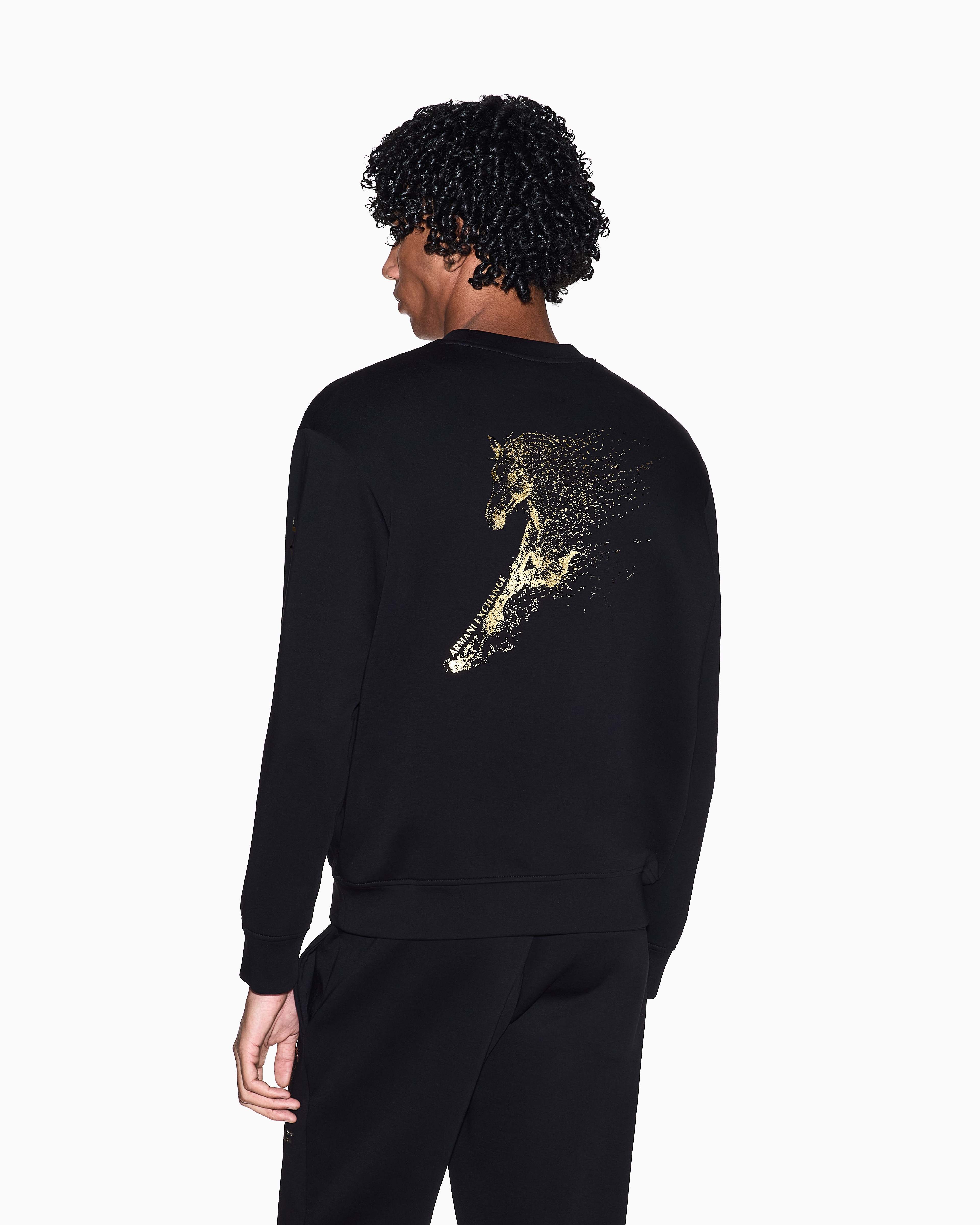 Lunar New Year Regular Fit SWEATSHIRT