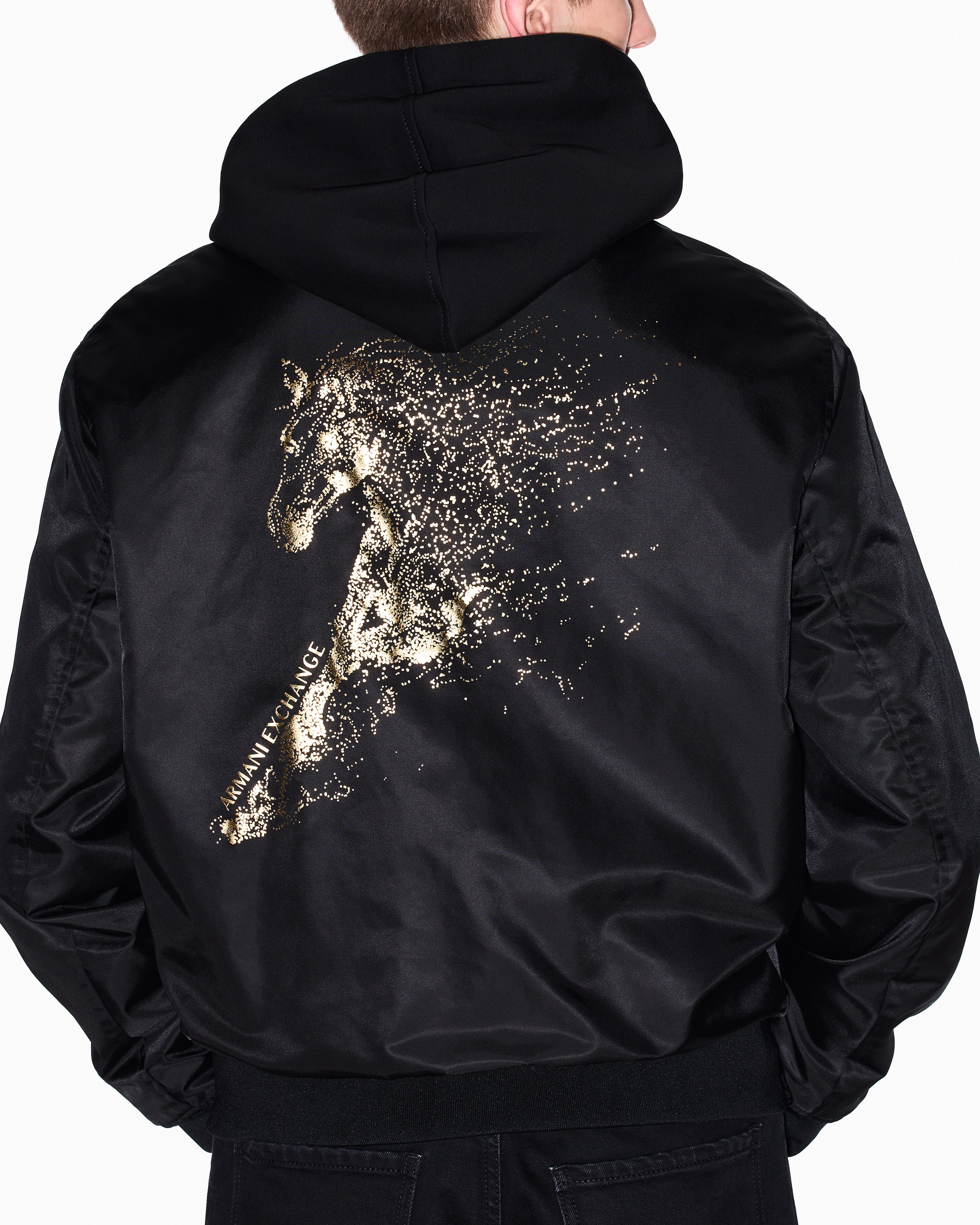 Lunar New Year Regular Fit BLOUSON JACKET