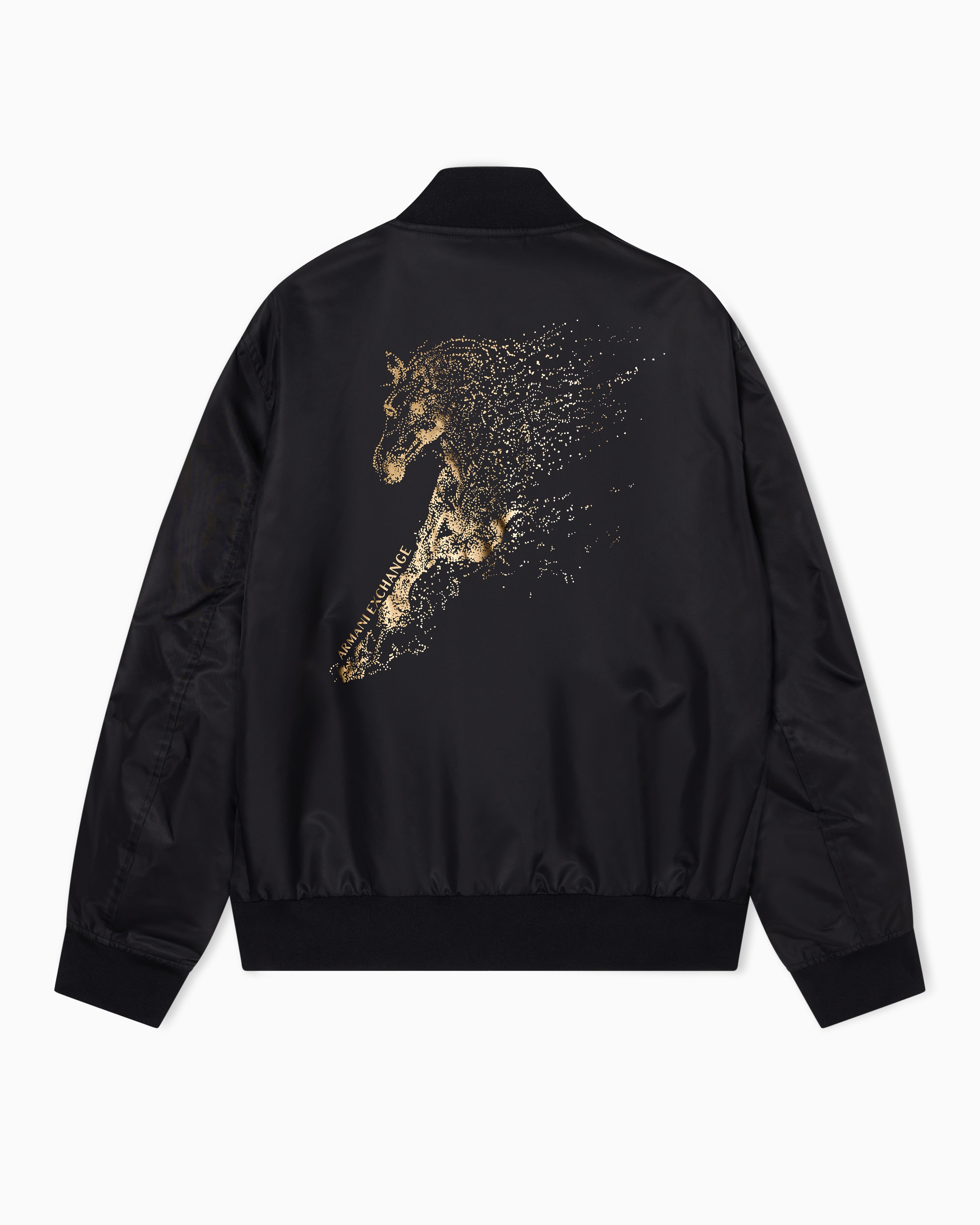 Lunar New Year Regular Fit BLOUSON JACKET