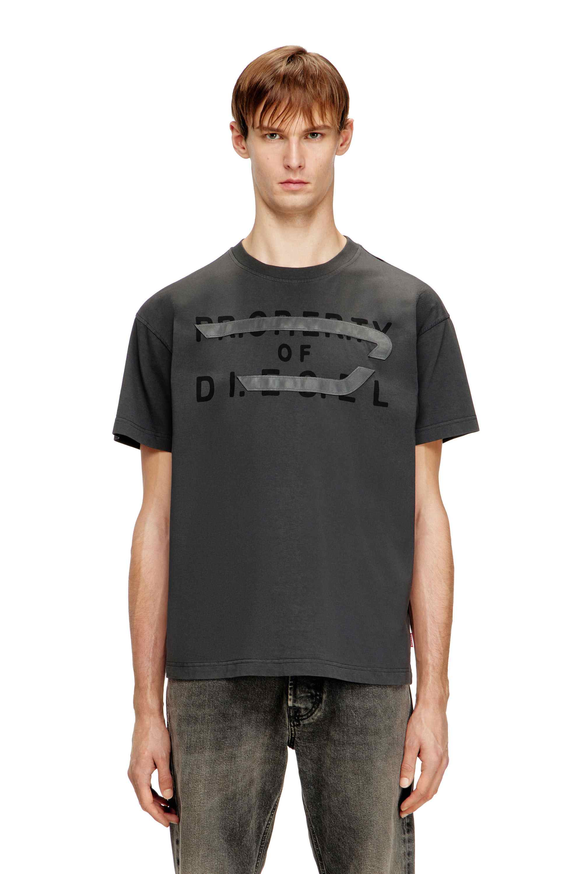 Grey Regular Fit T-shirt with D appliqué