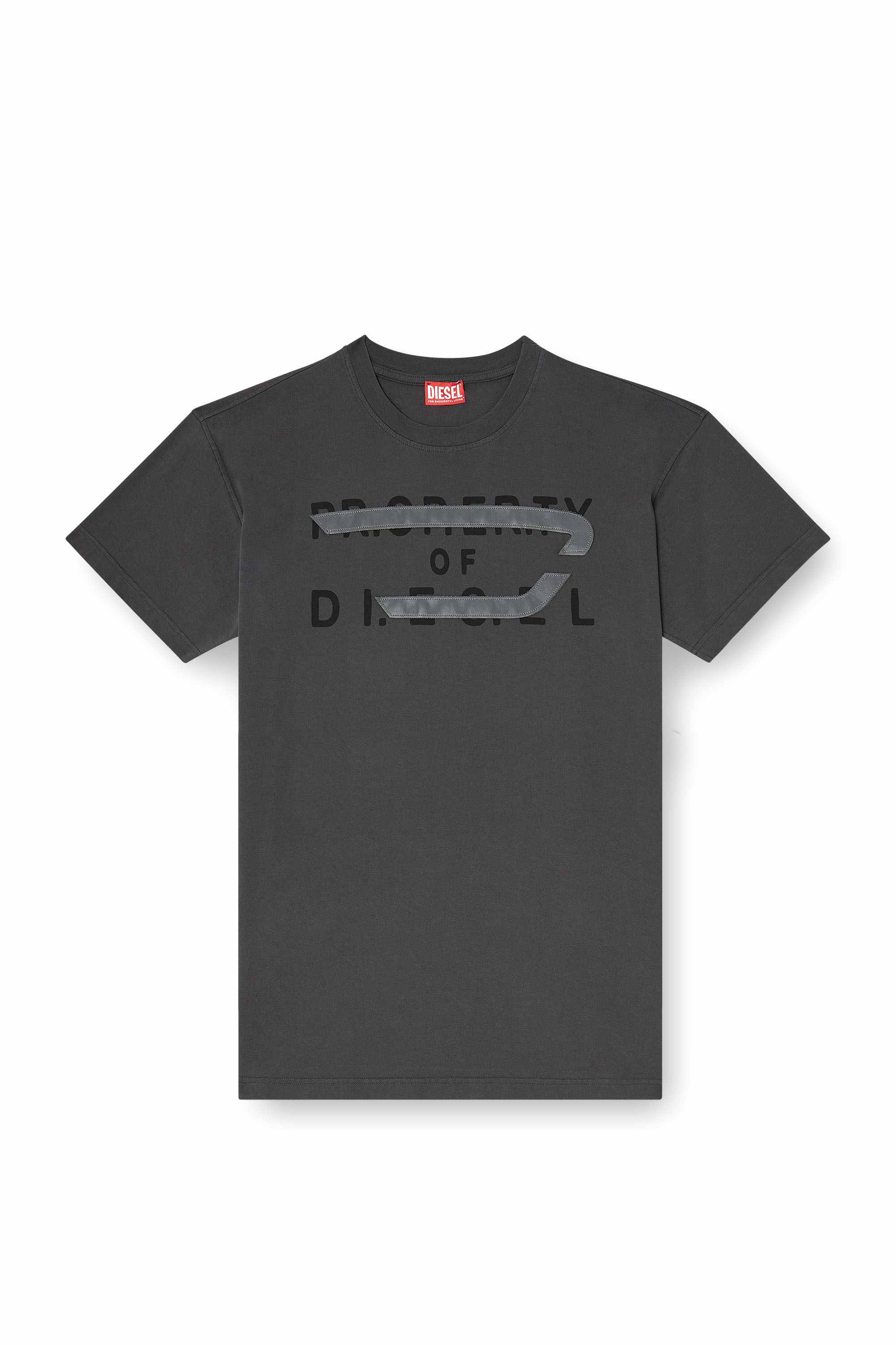 Grey Regular Fit T-shirt with D appliqué