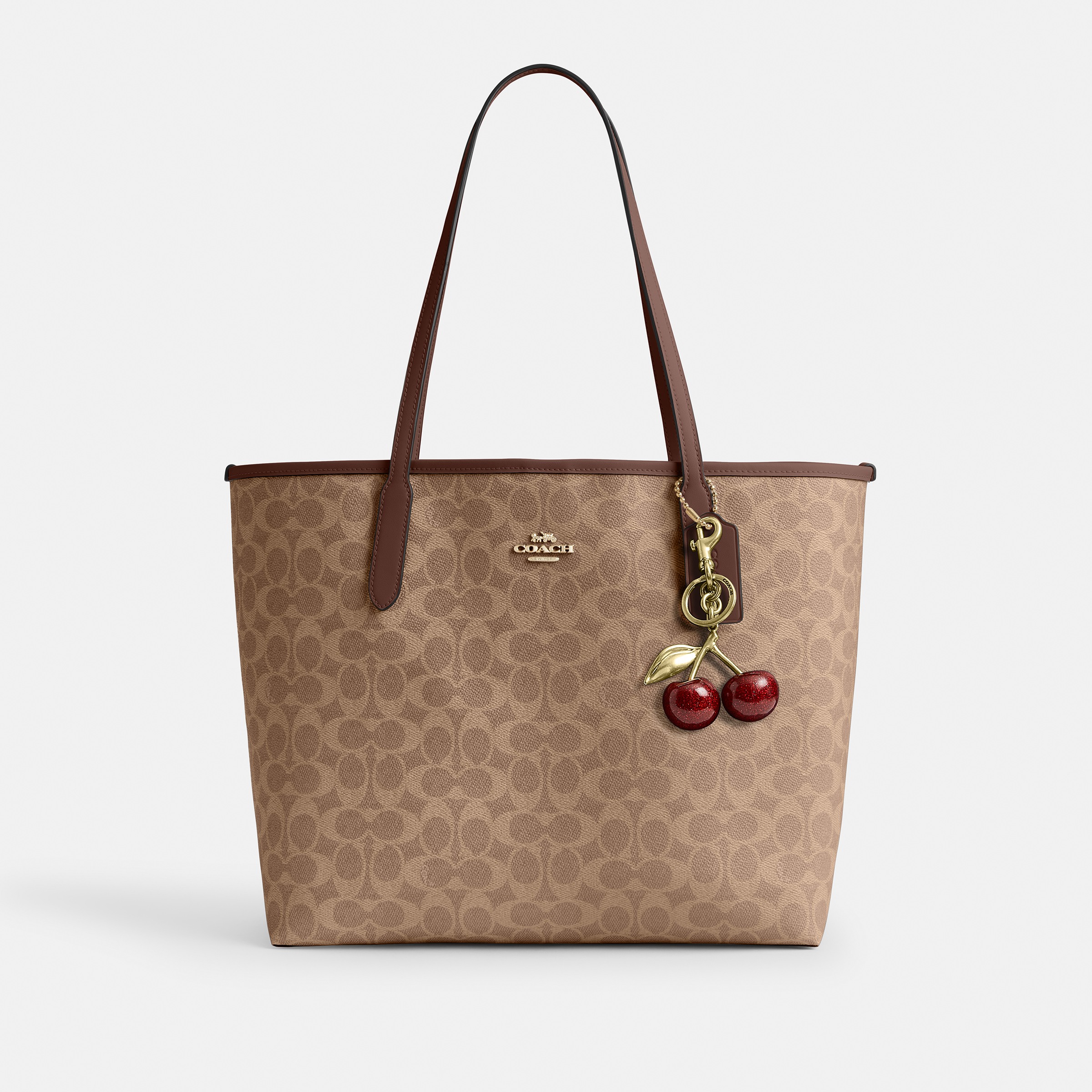 City Tote Bag In Signature Canvas