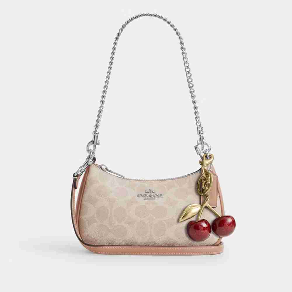 Teri Mini Crossbody Bag In Signature Canvas