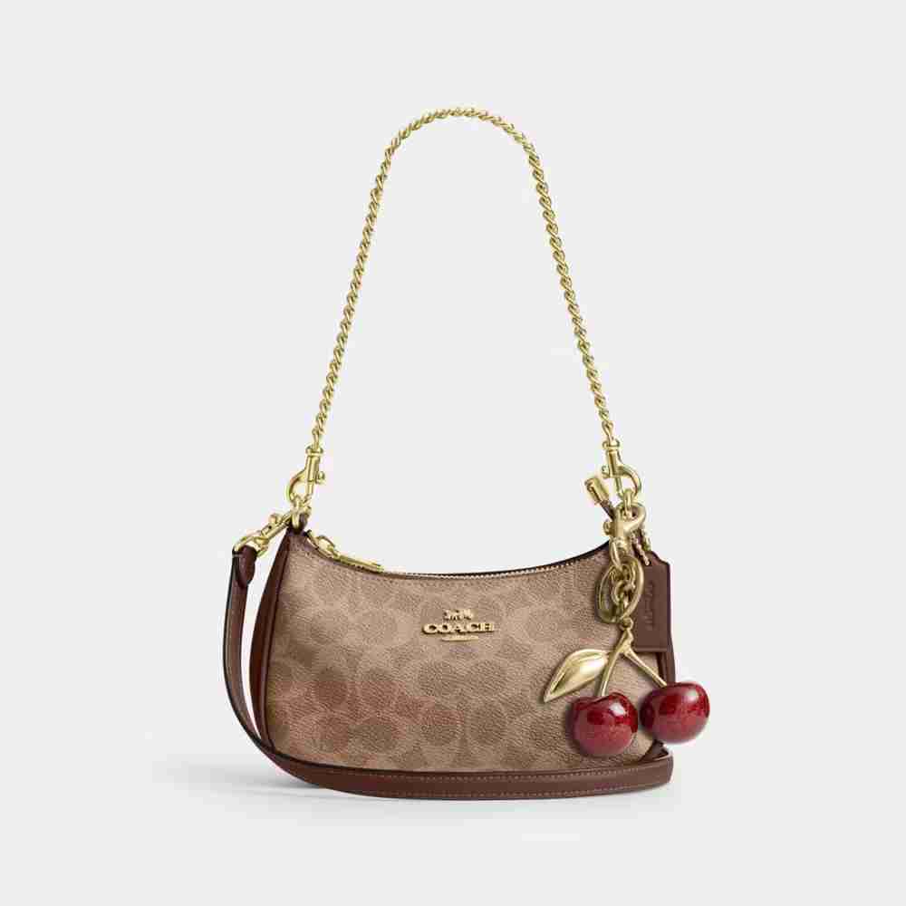 Teri Mini Crossbody Bag In Signature Canvas