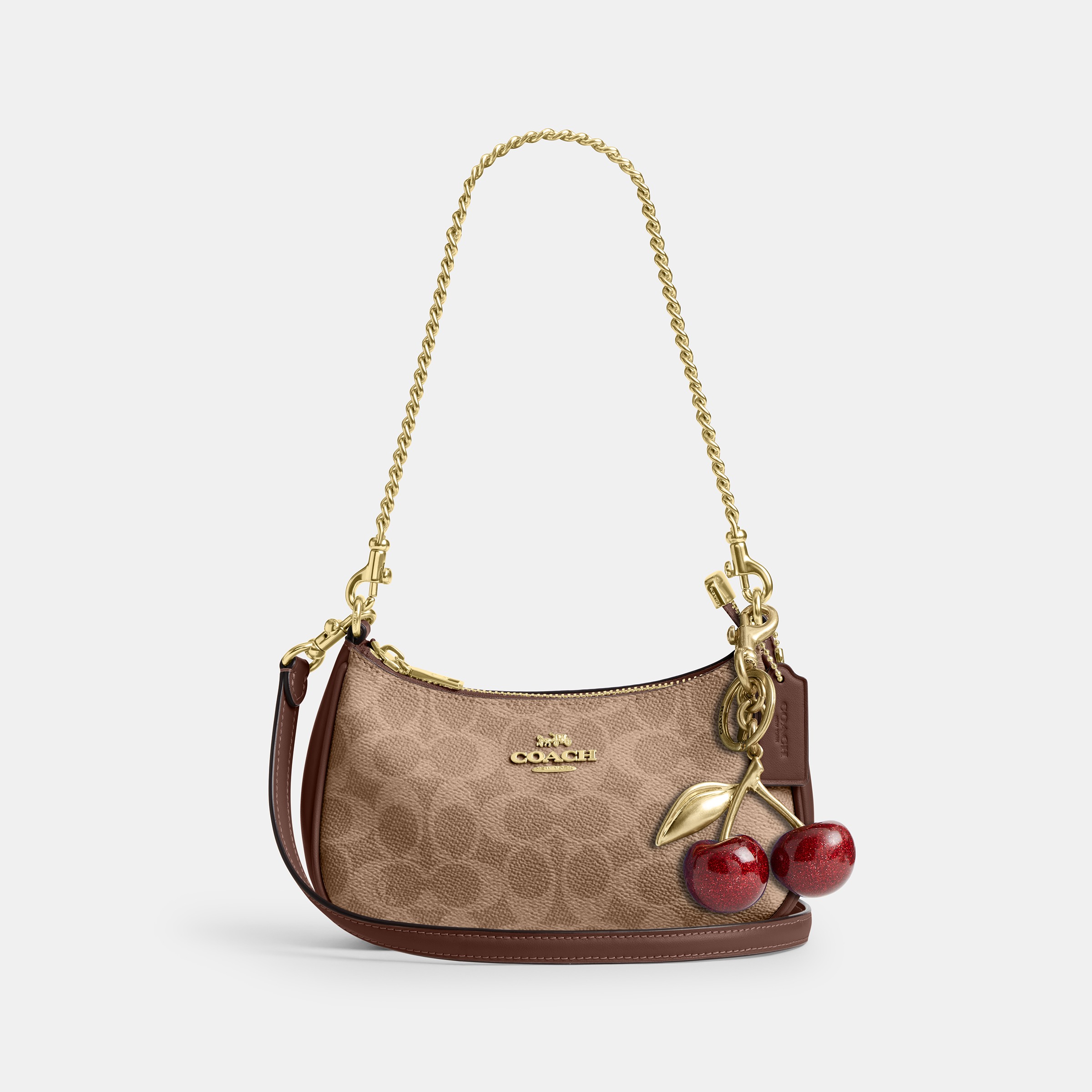 Teri Mini Crossbody Bag In Signature Canvas