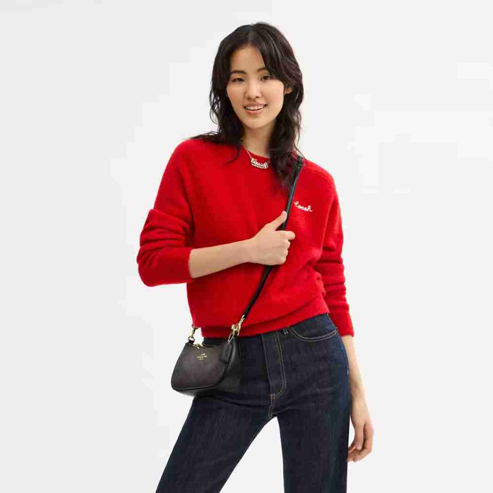 Teri Mini Crossbody Bag In Signature Canvas